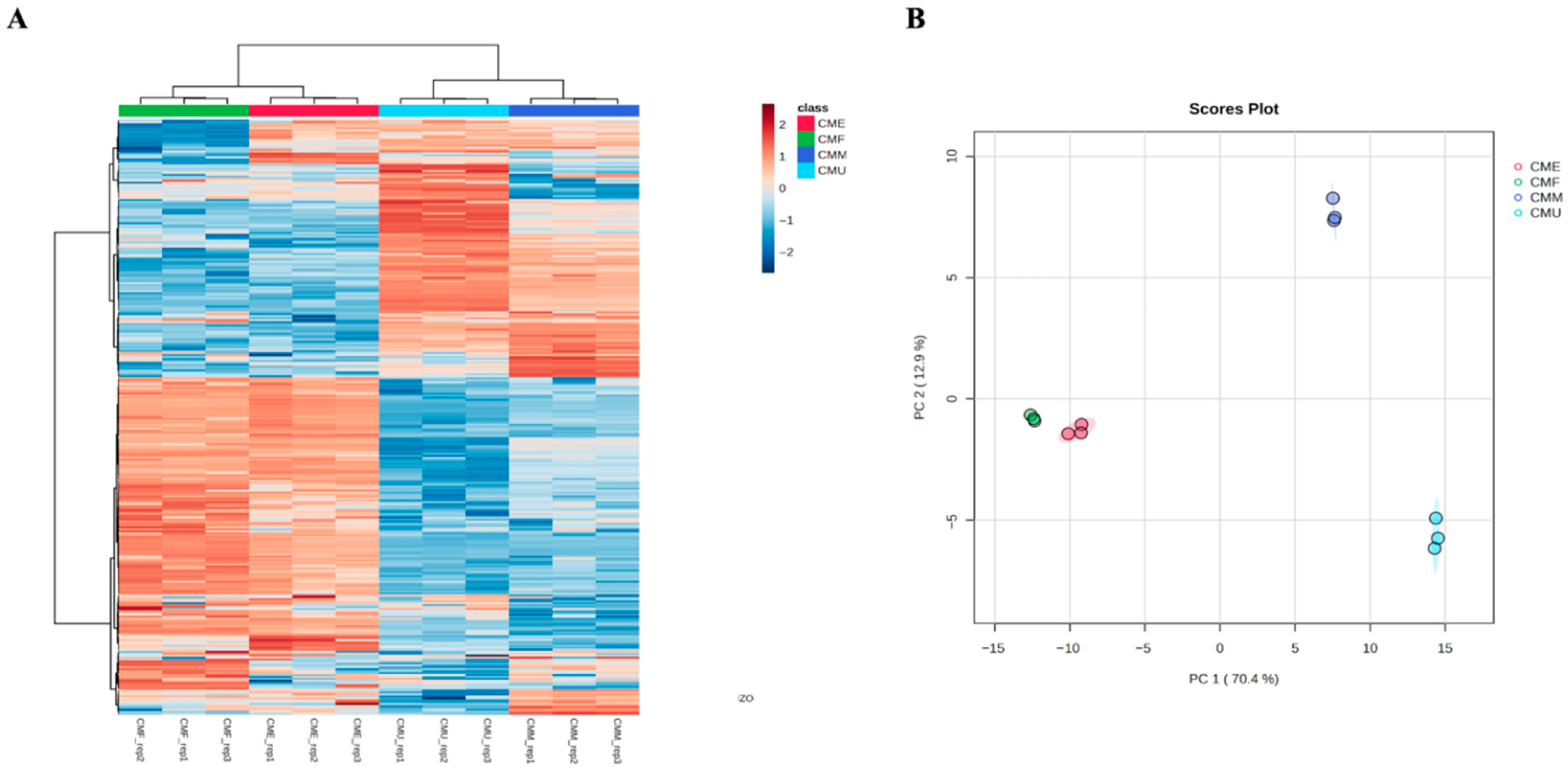 Antioxidants 14 01419 g003