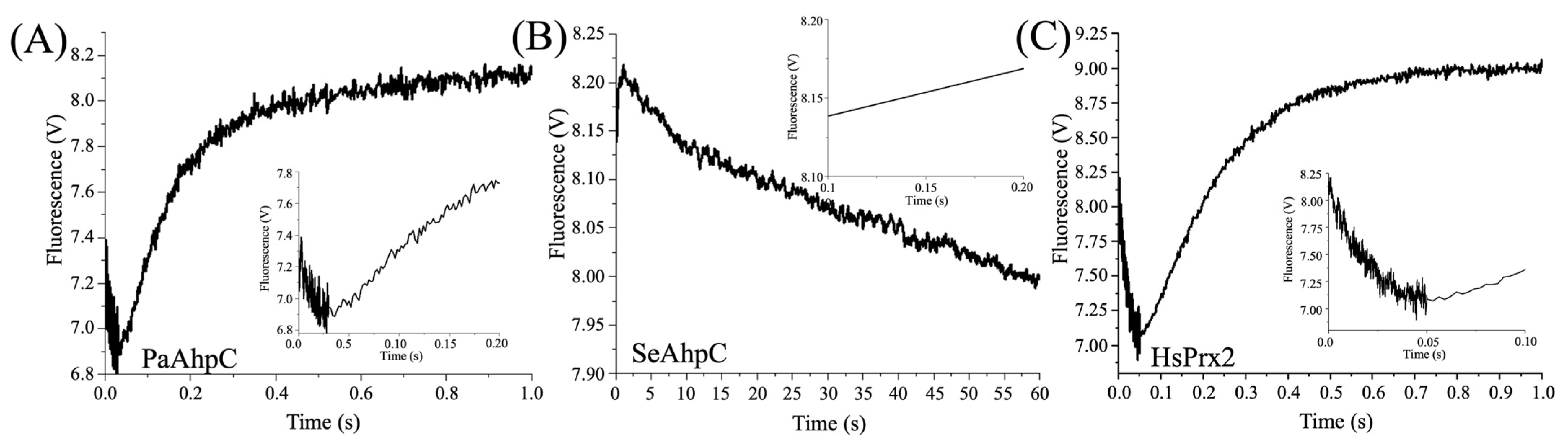 Antioxidants 14 01422 g004