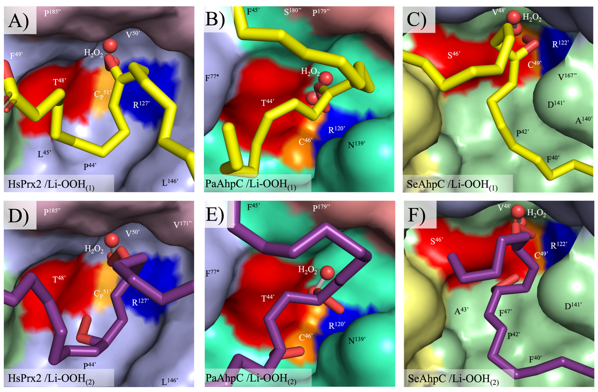 Antioxidants 14 01422 g007