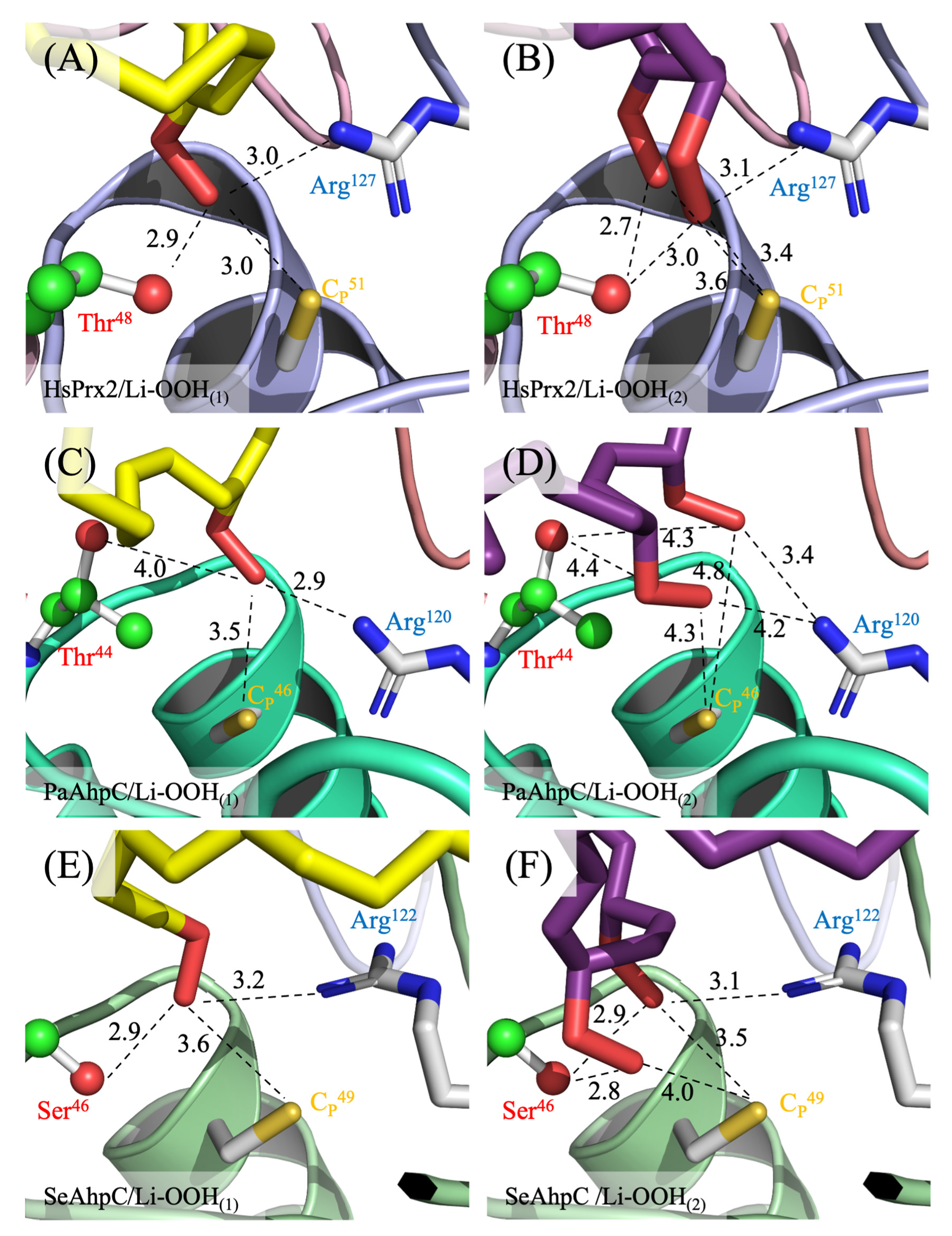 Antioxidants 14 01422 g008