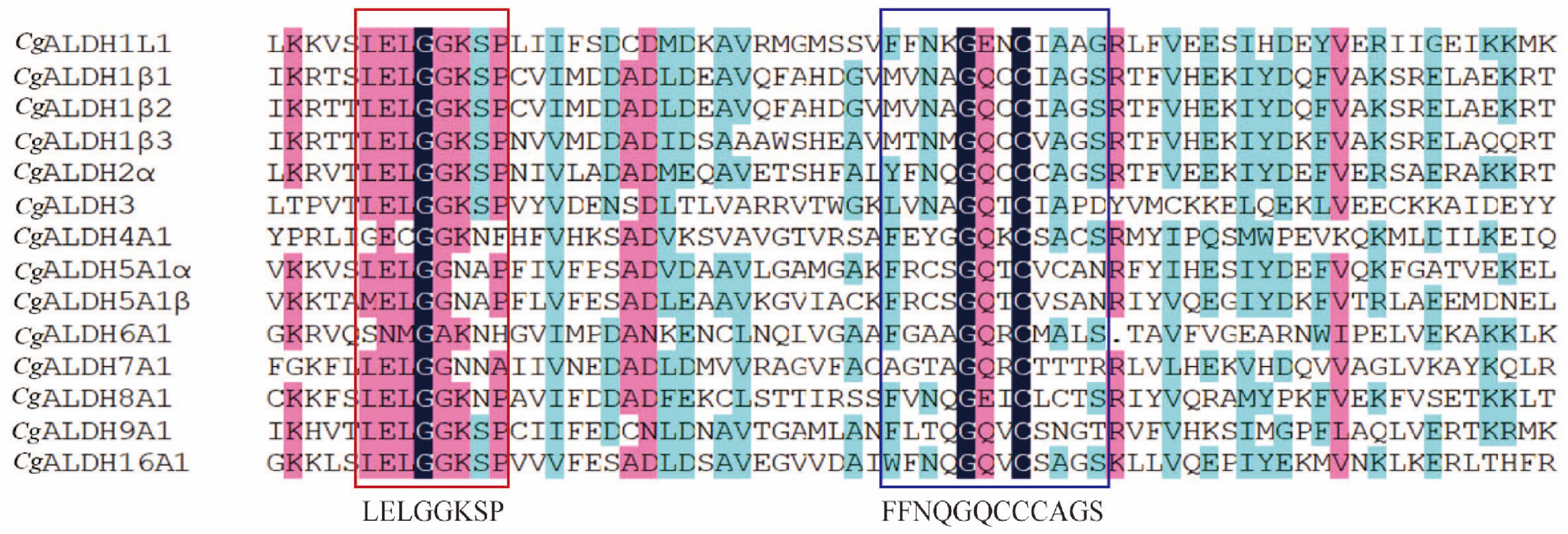 Antioxidants 14 01423 g001