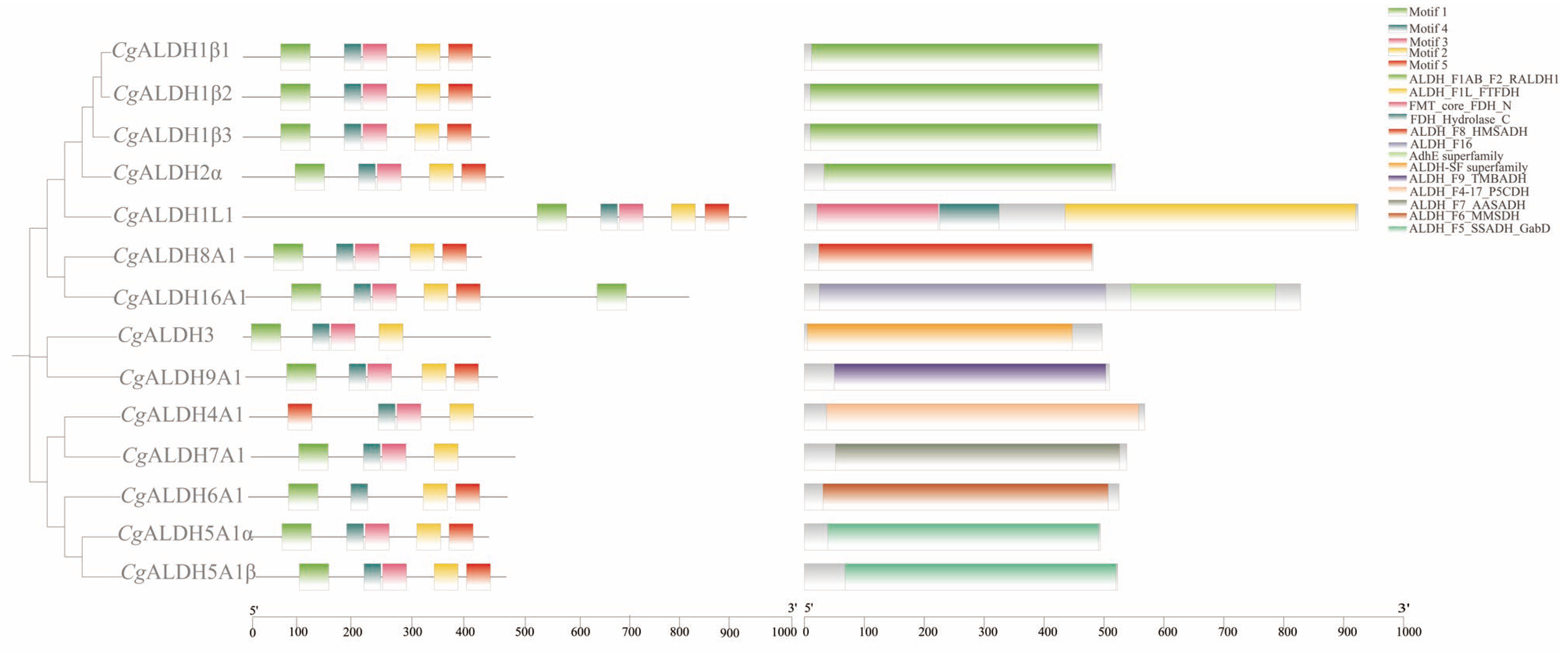 Antioxidants 14 01423 g002