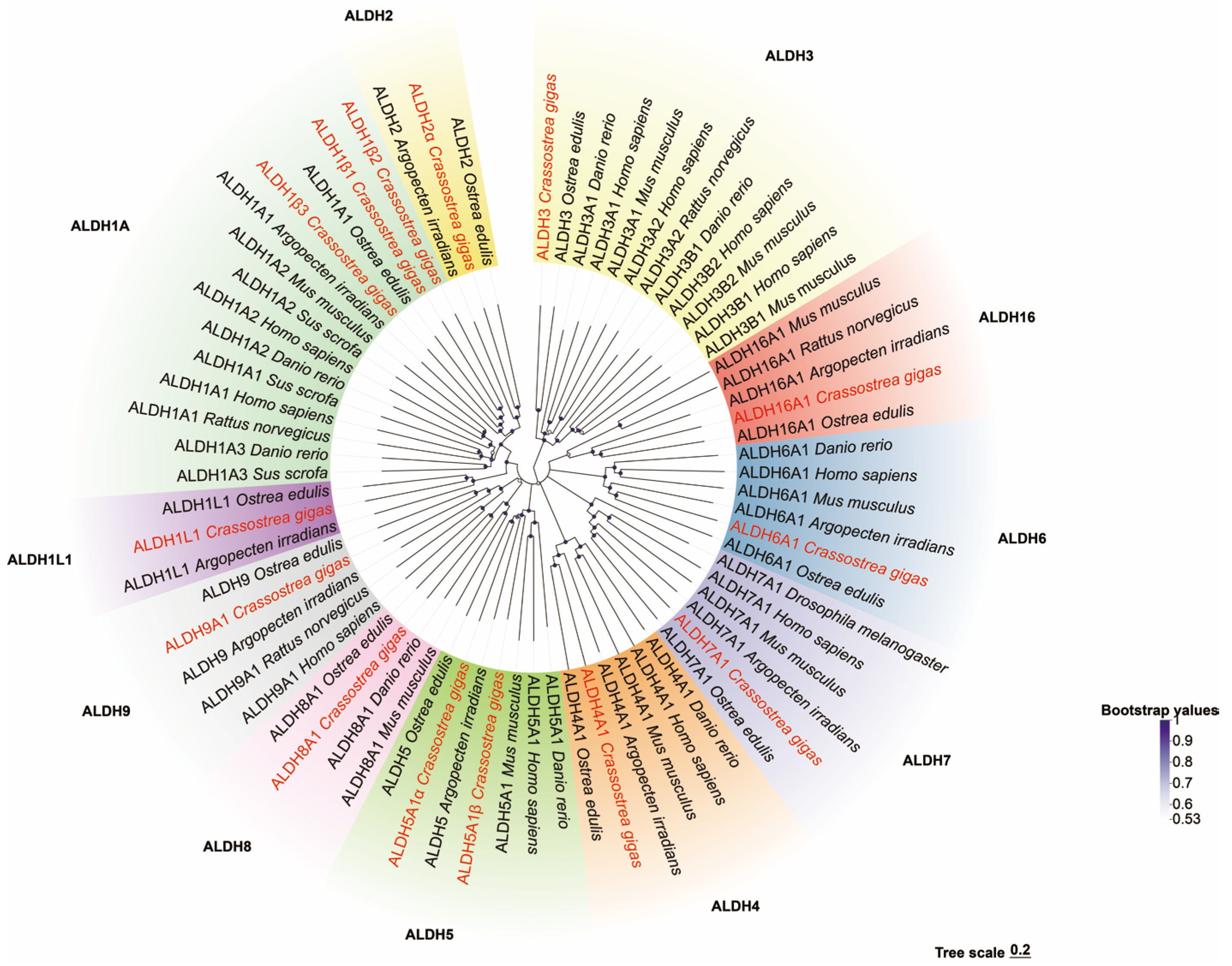 Antioxidants 14 01423 g003