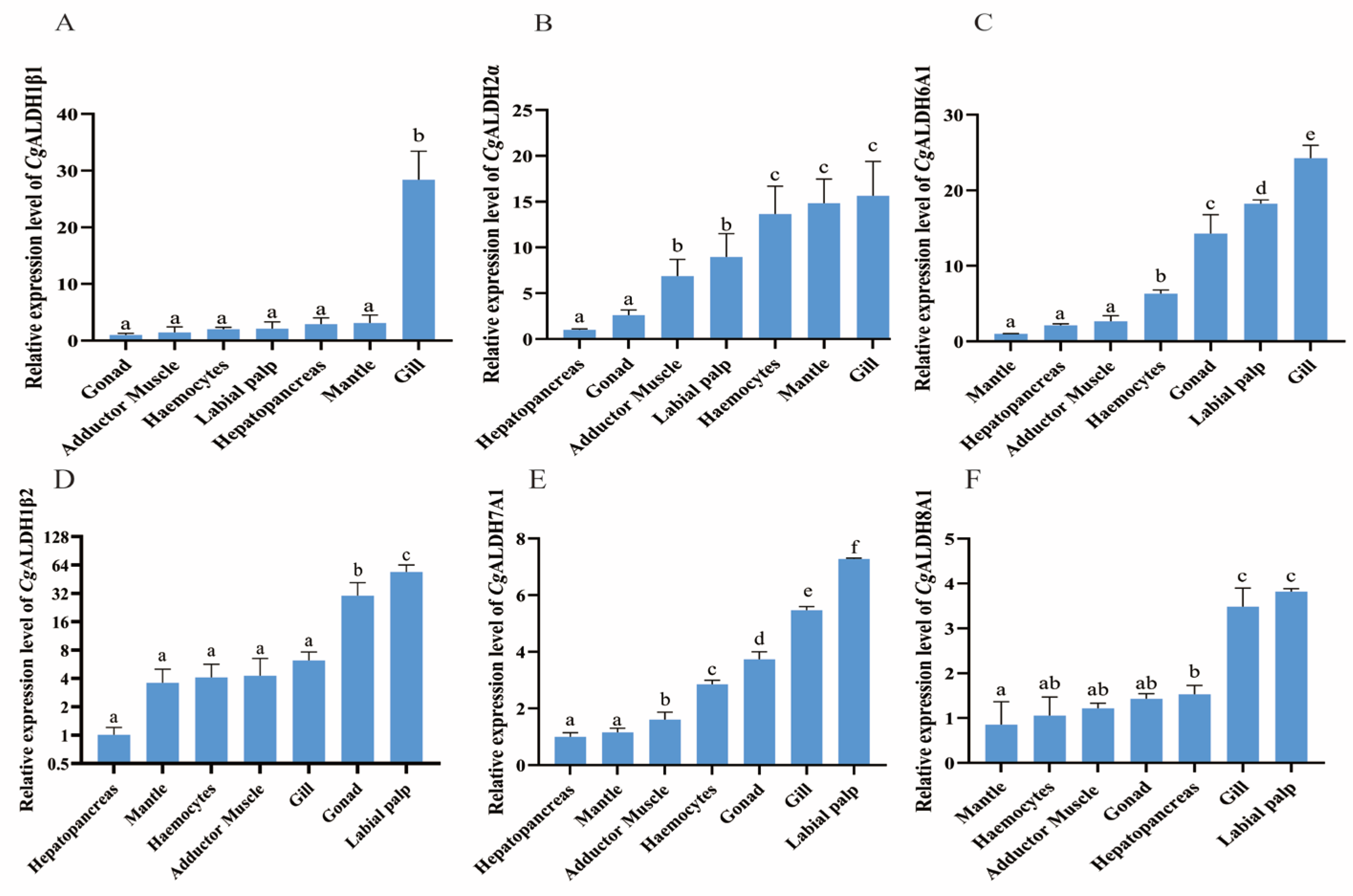 Antioxidants 14 01423 g005
