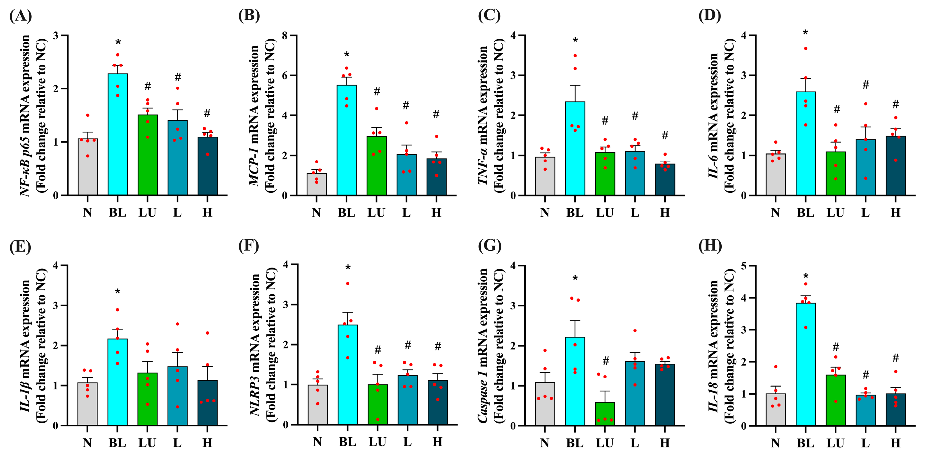 Antioxidants 14 01428 g004