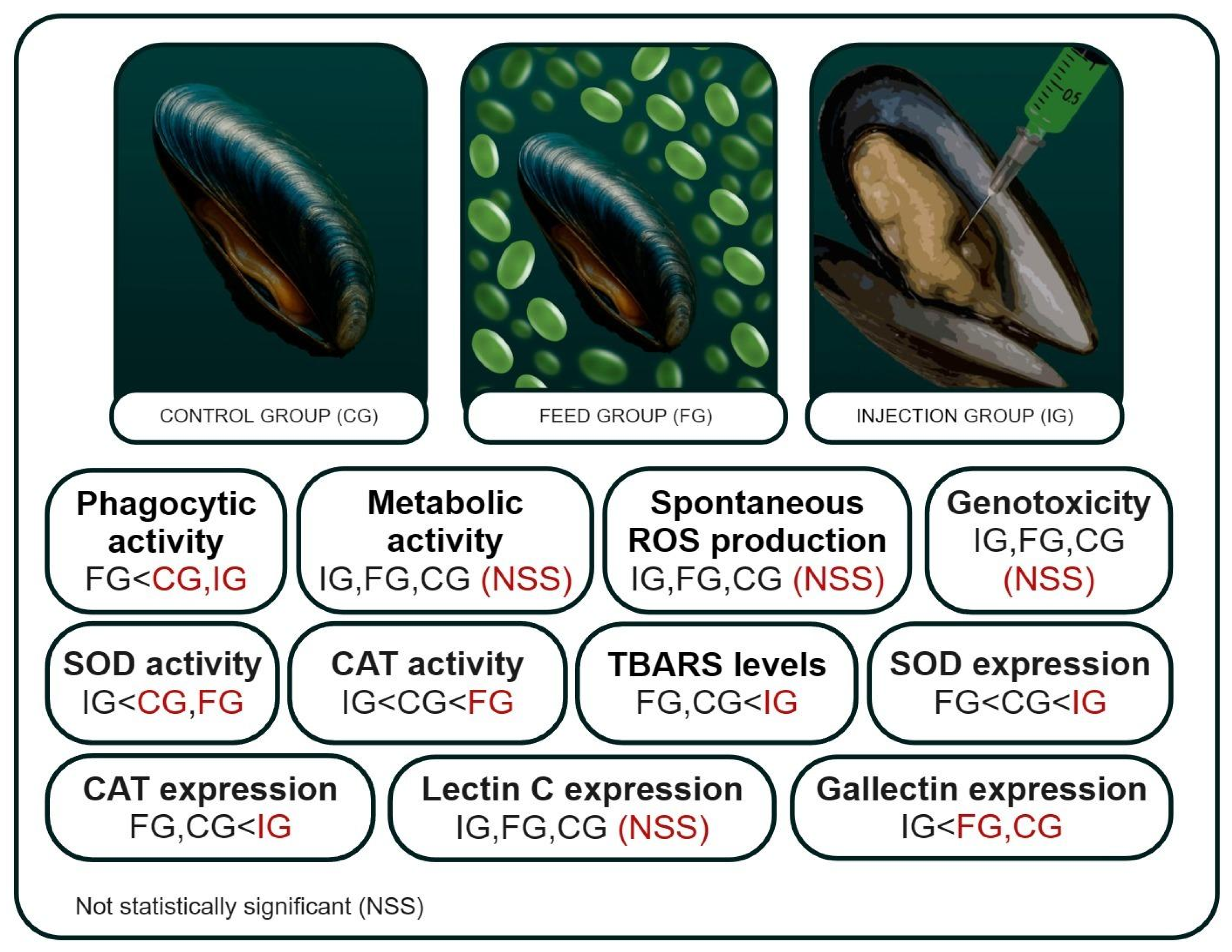 Antioxidants 14 01430 g002 Antioxidants 14 01430 g002