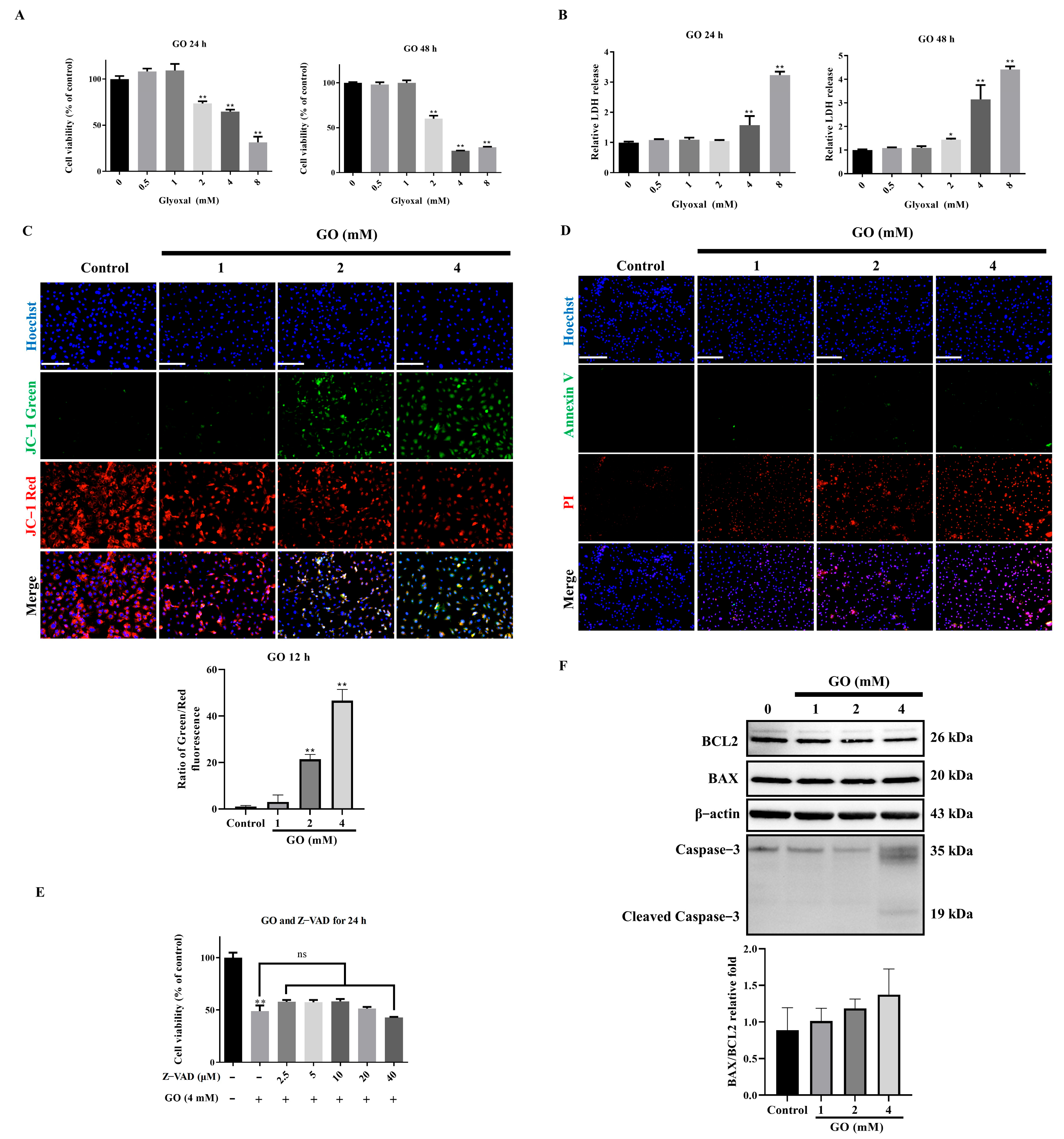 Antioxidants 14 01434 g001