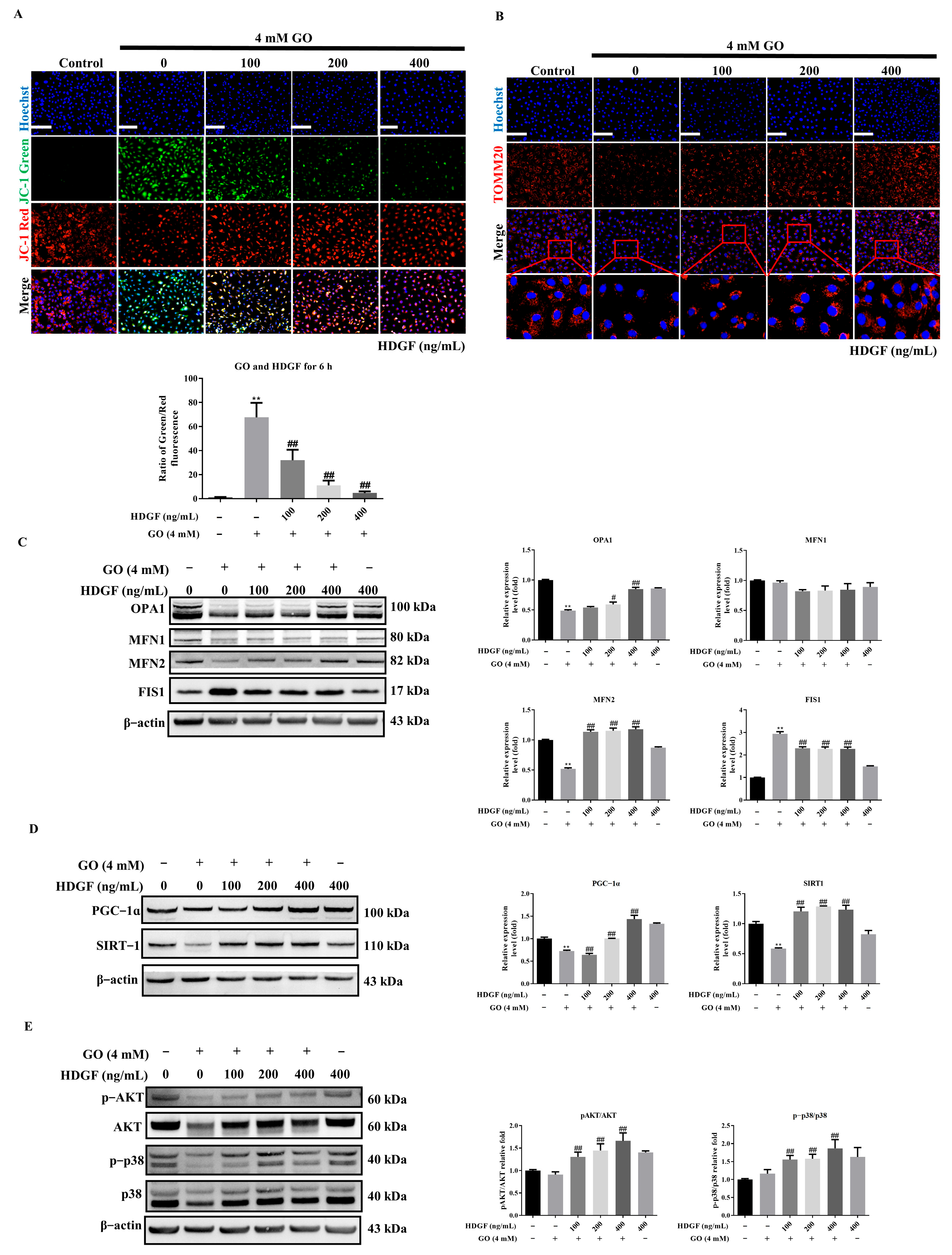 Antioxidants 14 01434 g006