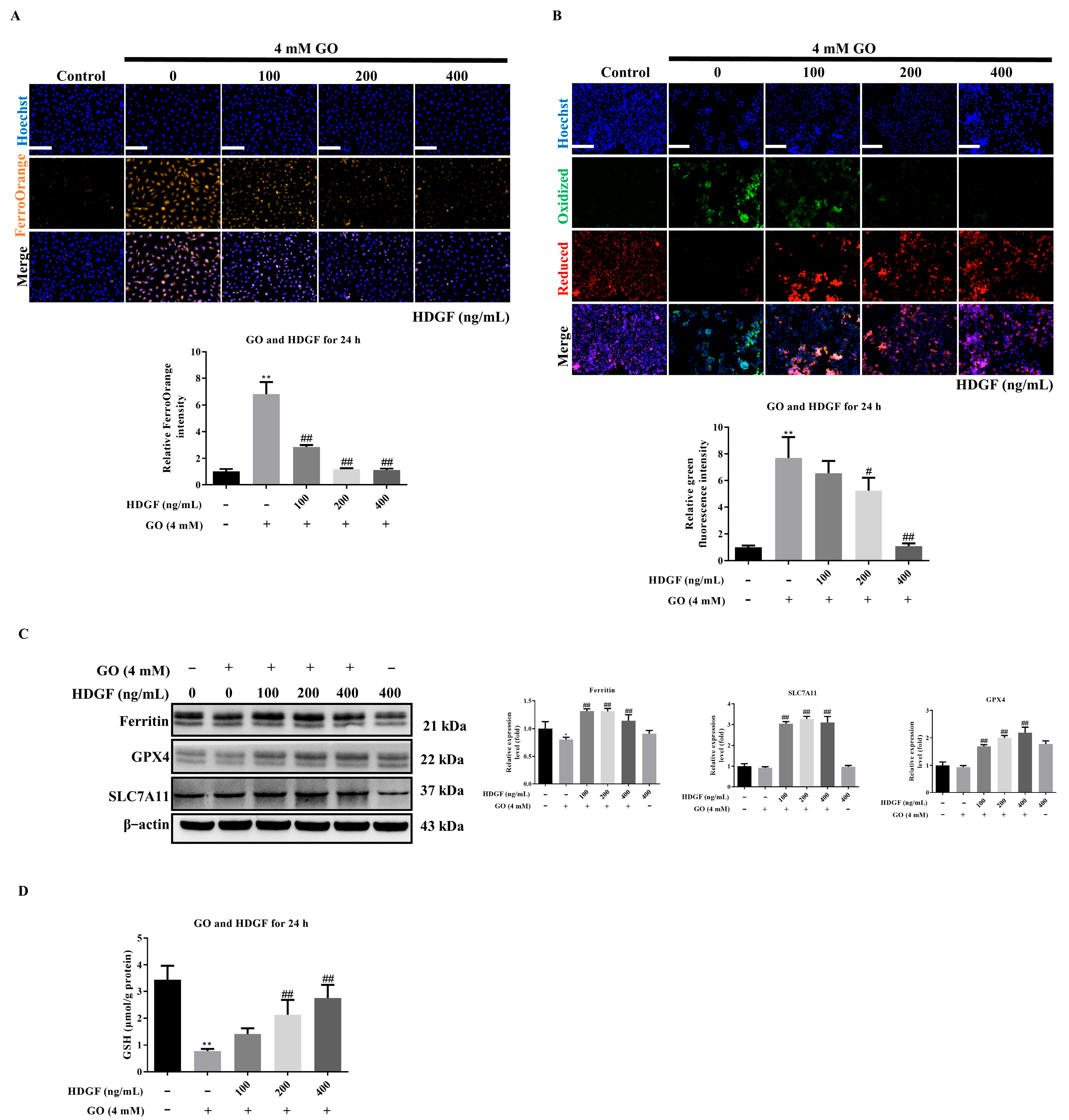 Antioxidants 14 01434 g007