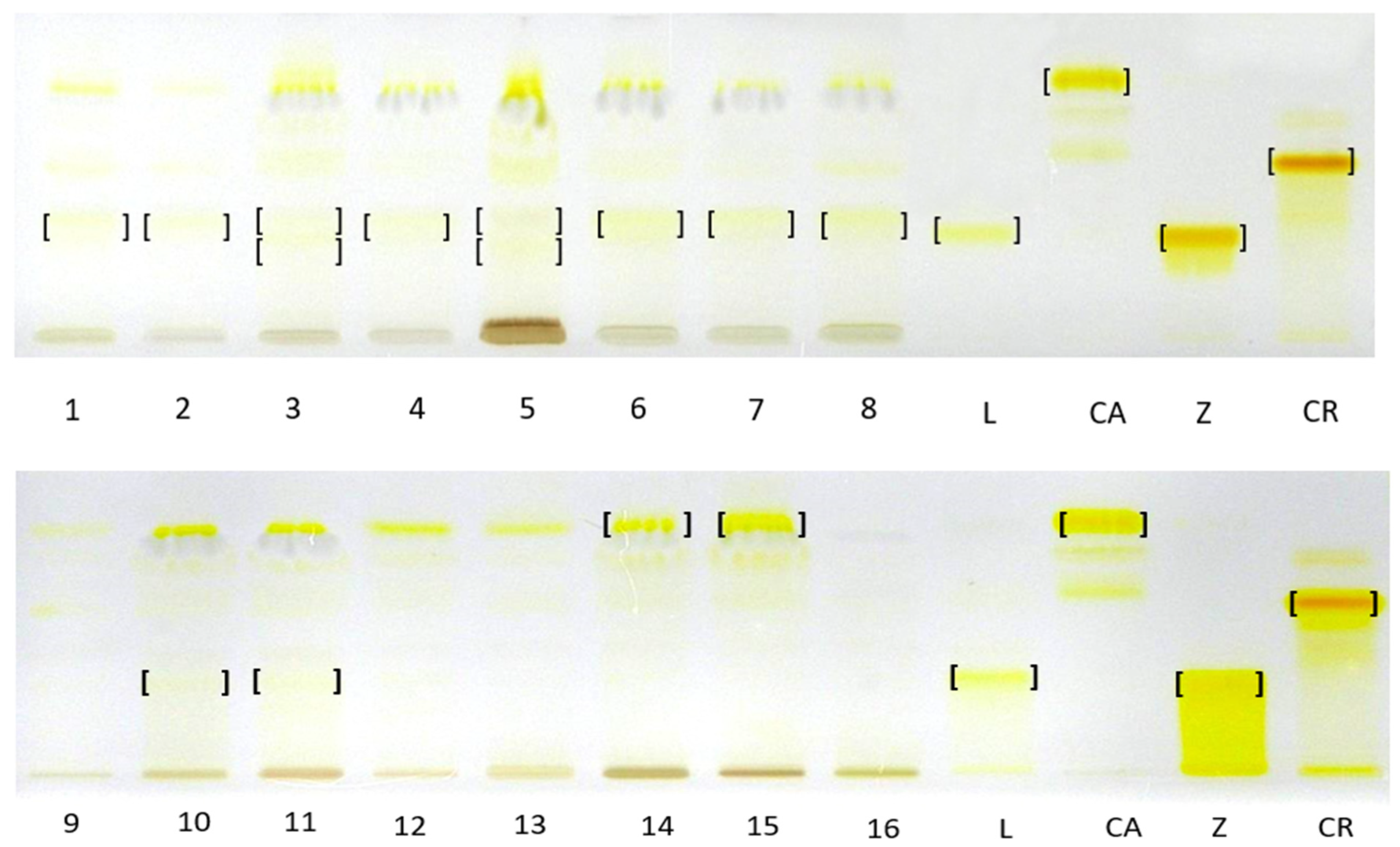 Antioxidants 14 01438 g004