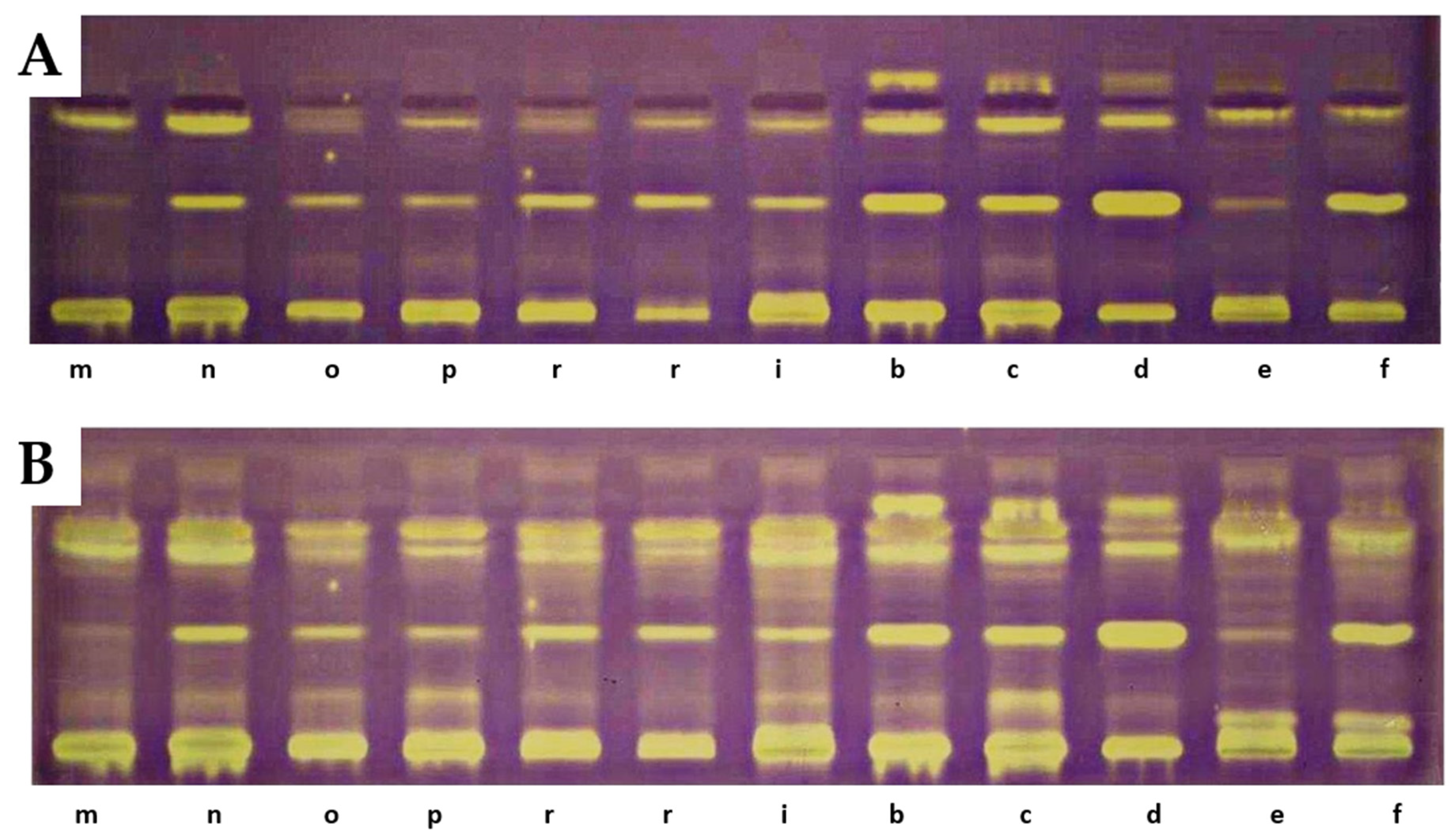 Antioxidants 14 01438 g005b