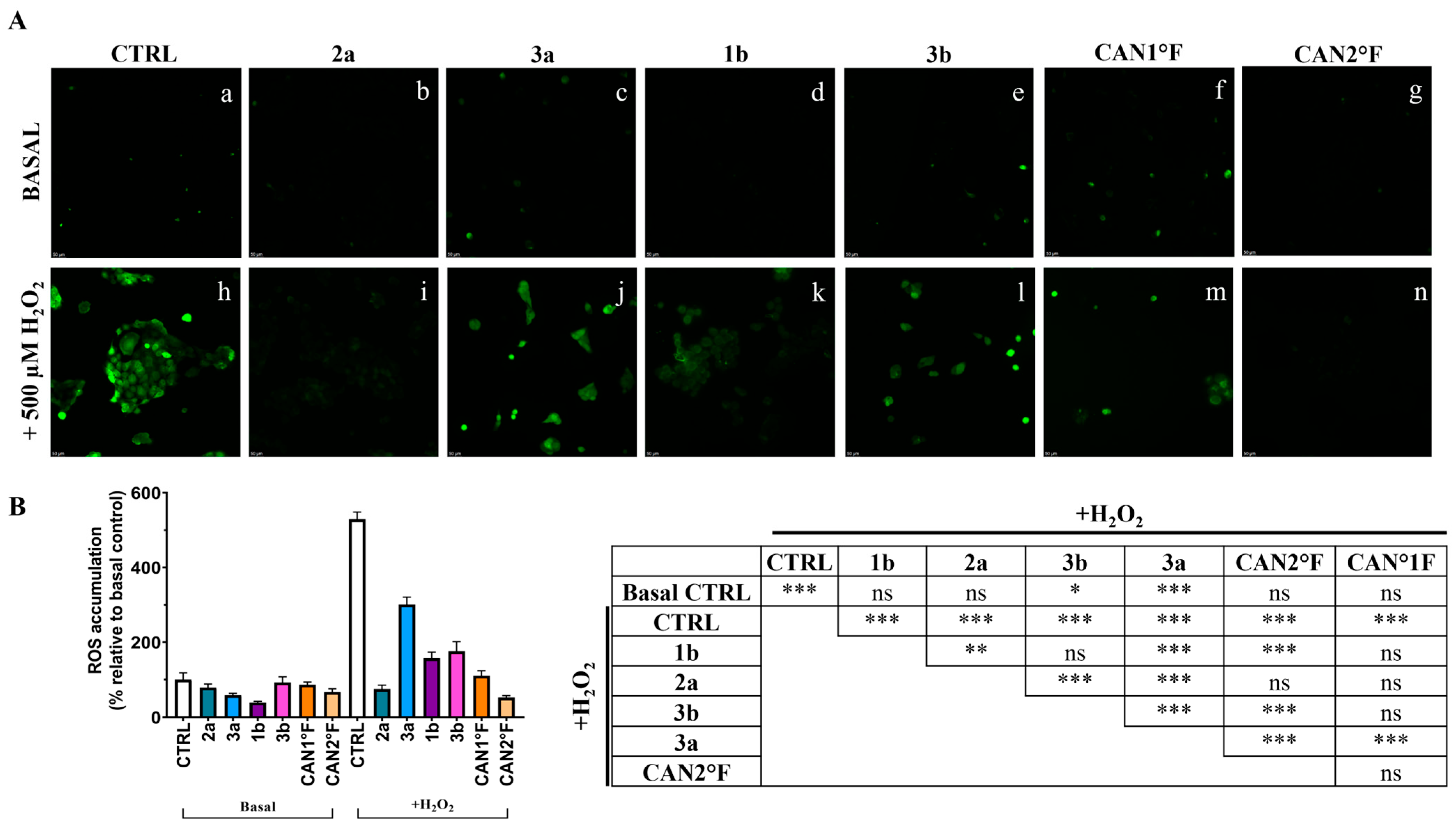 Antioxidants 14 01439 g004