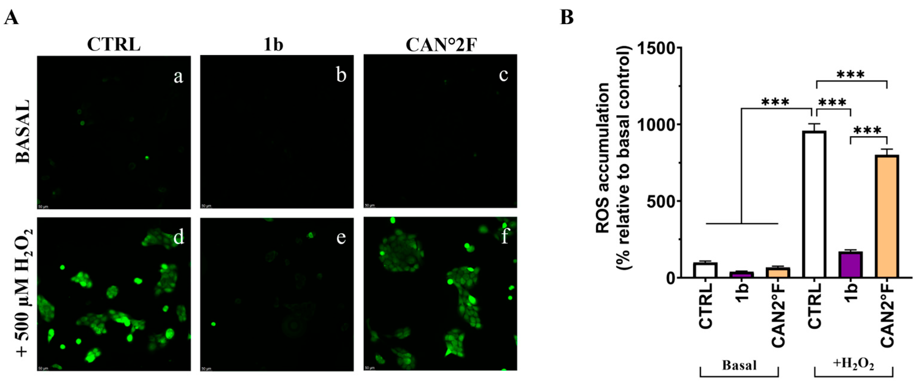 Antioxidants 14 01439 g007