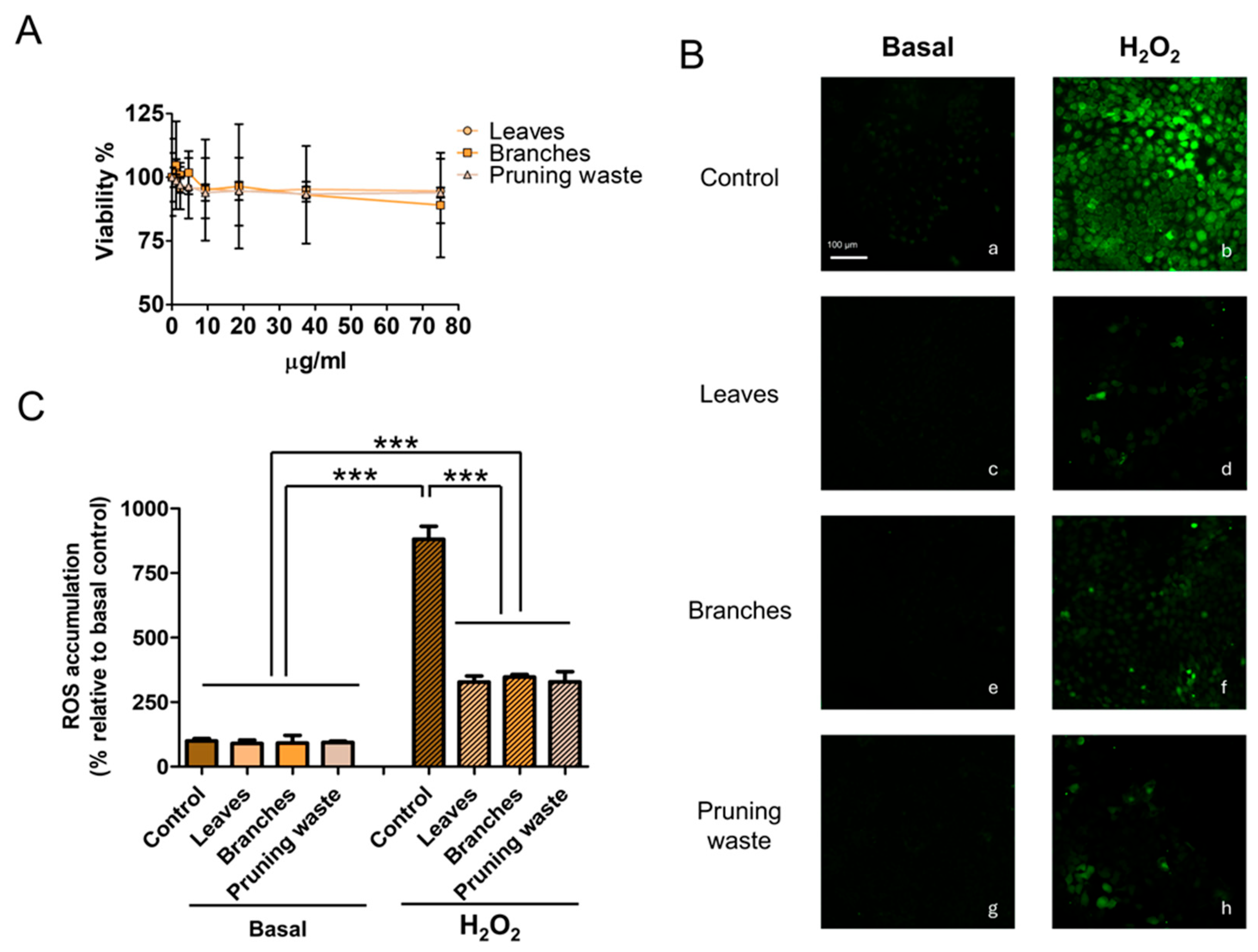 Antioxidants 14 01441 g010