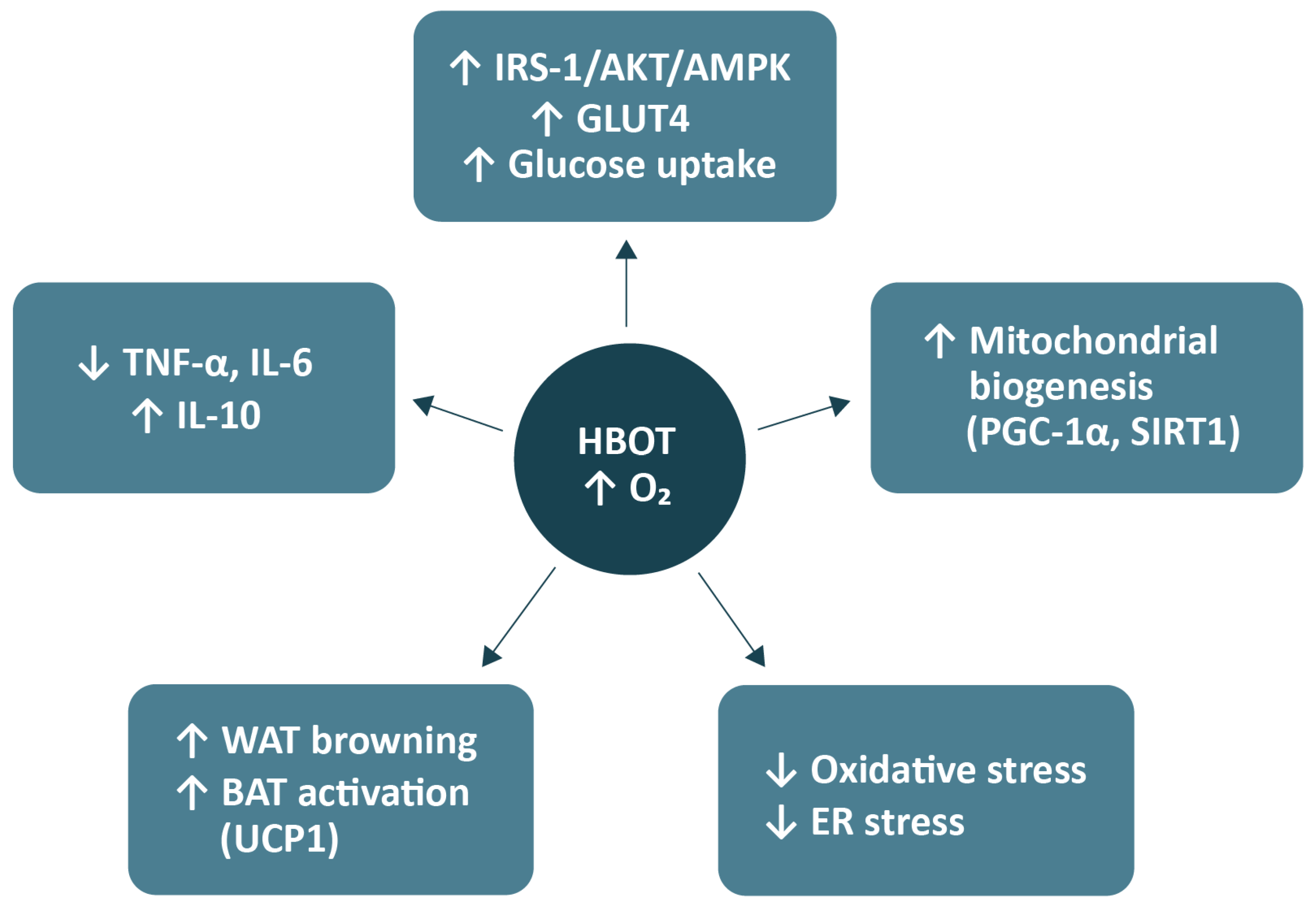 Antioxidants 14 01443 g001