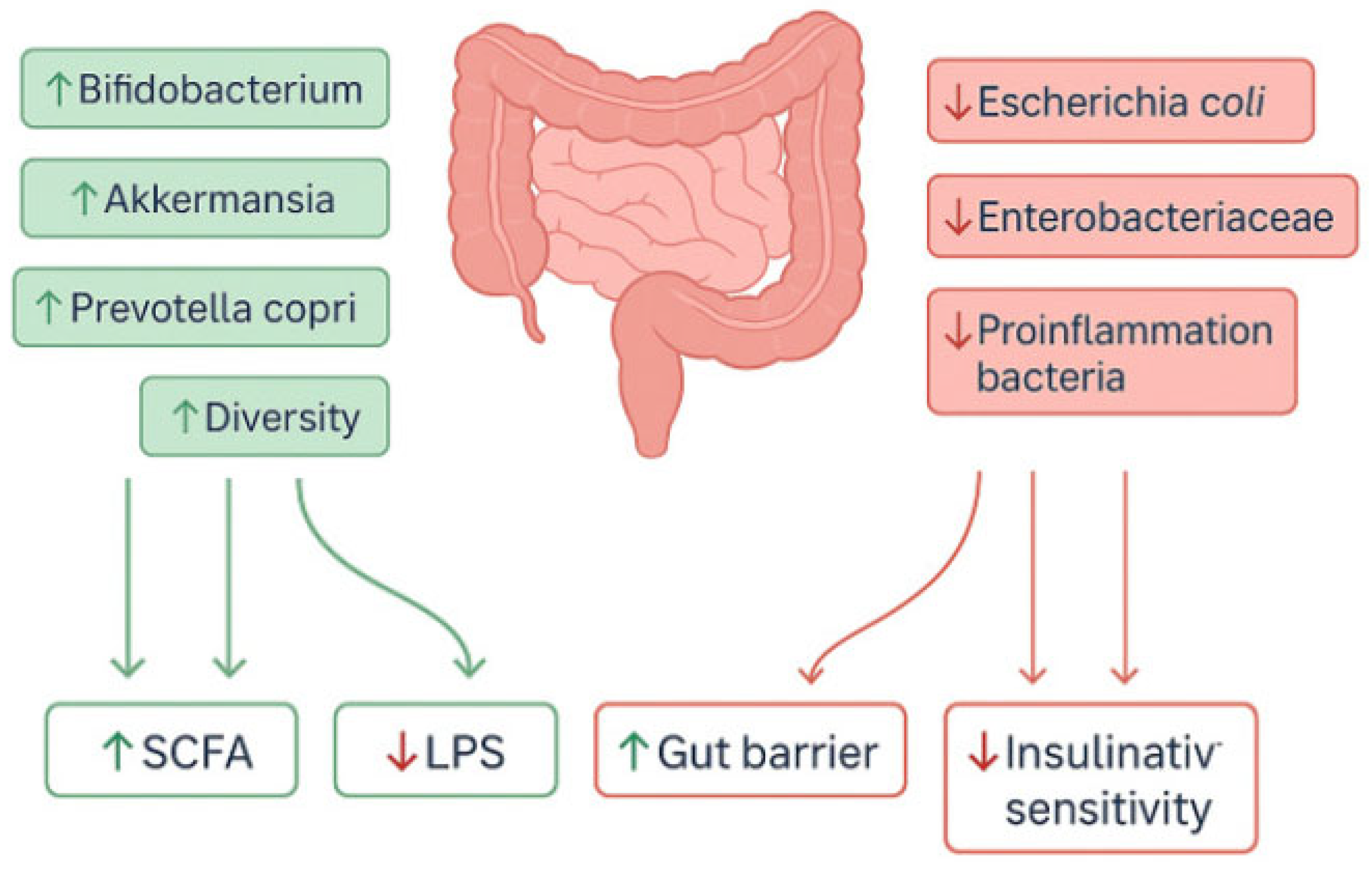 Antioxidants 14 01443 g002