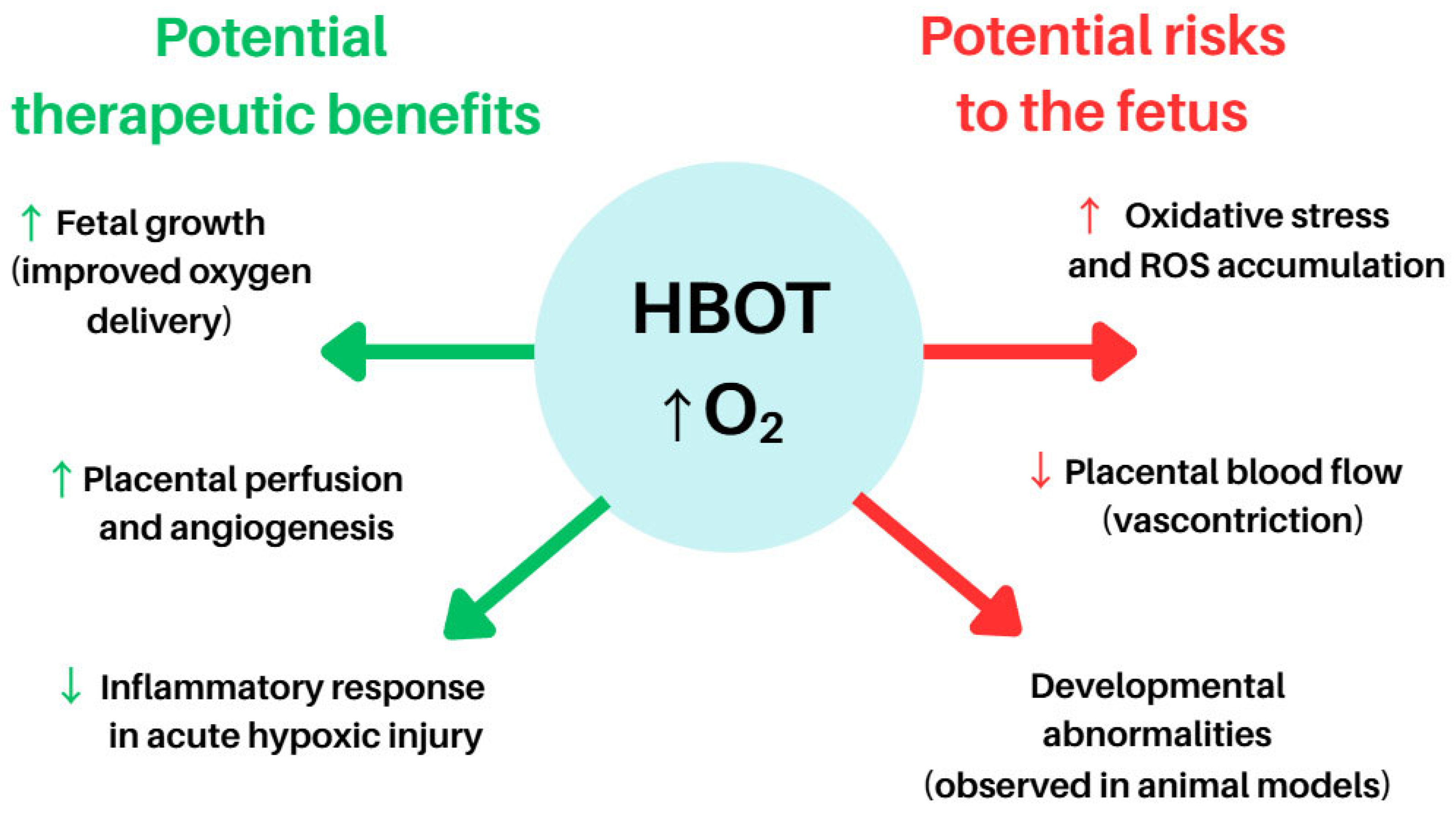 Antioxidants 14 01443 g003
