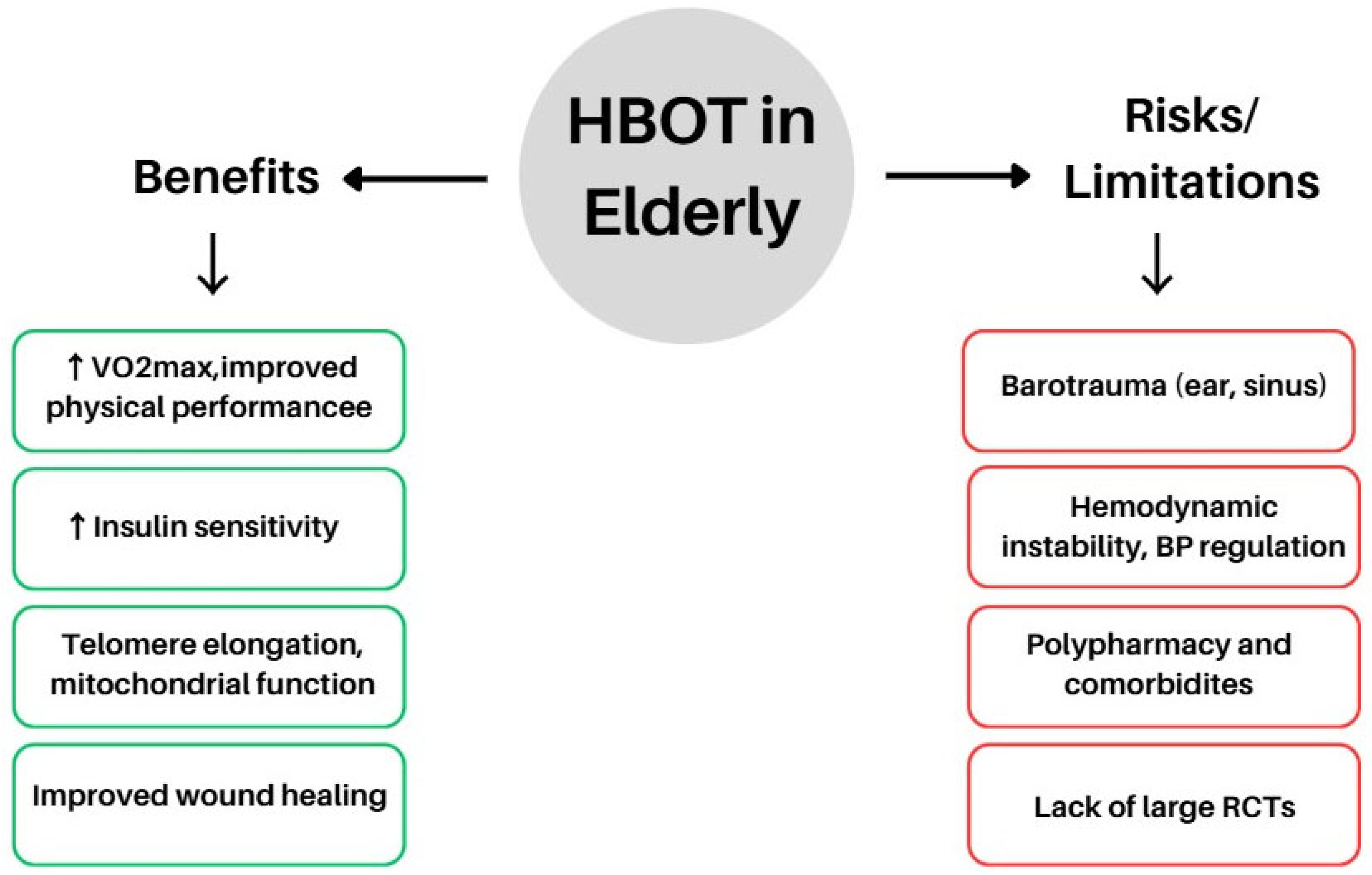 Antioxidants 14 01443 g004