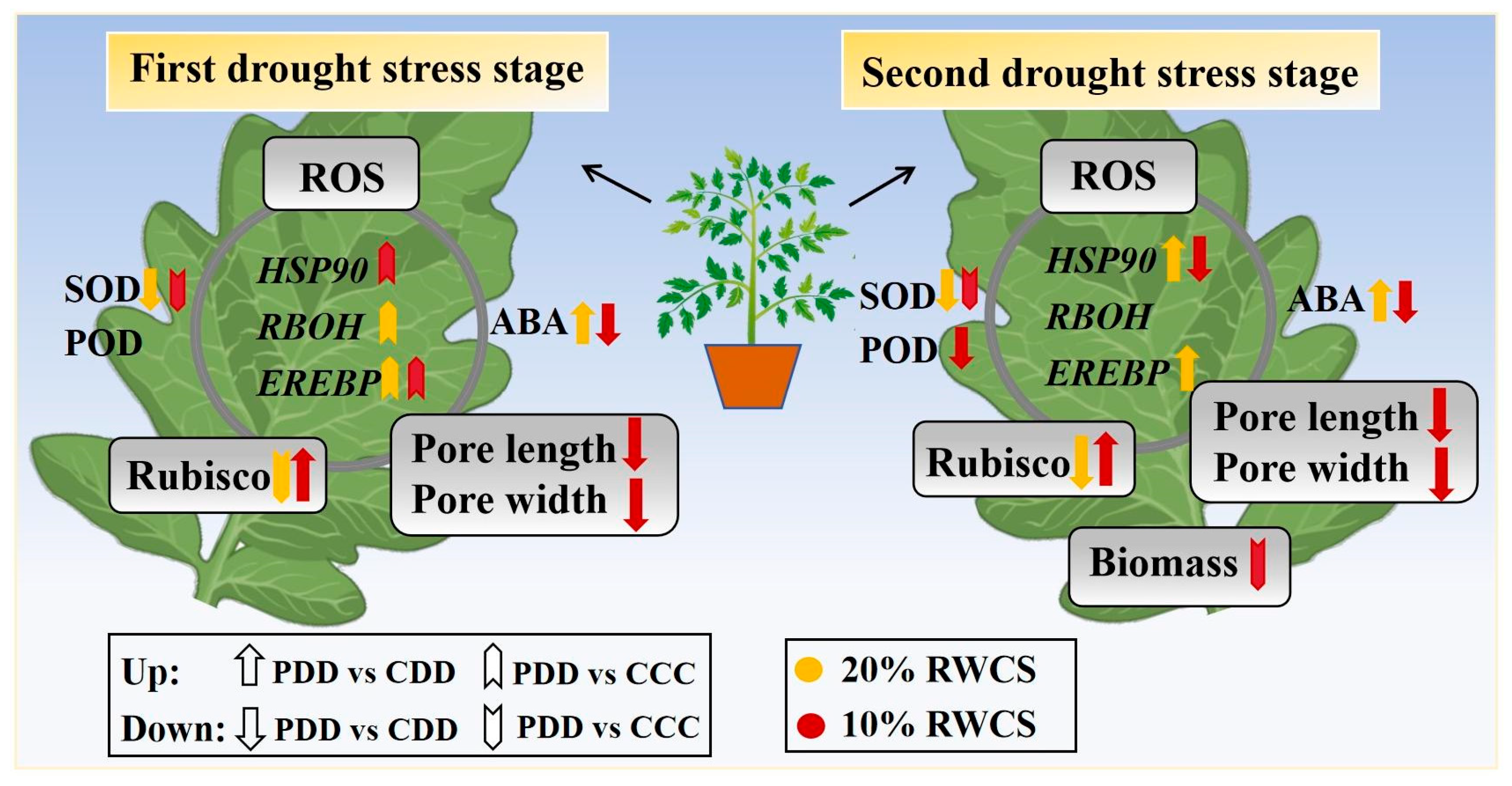 Antioxidants 14 01448 g009