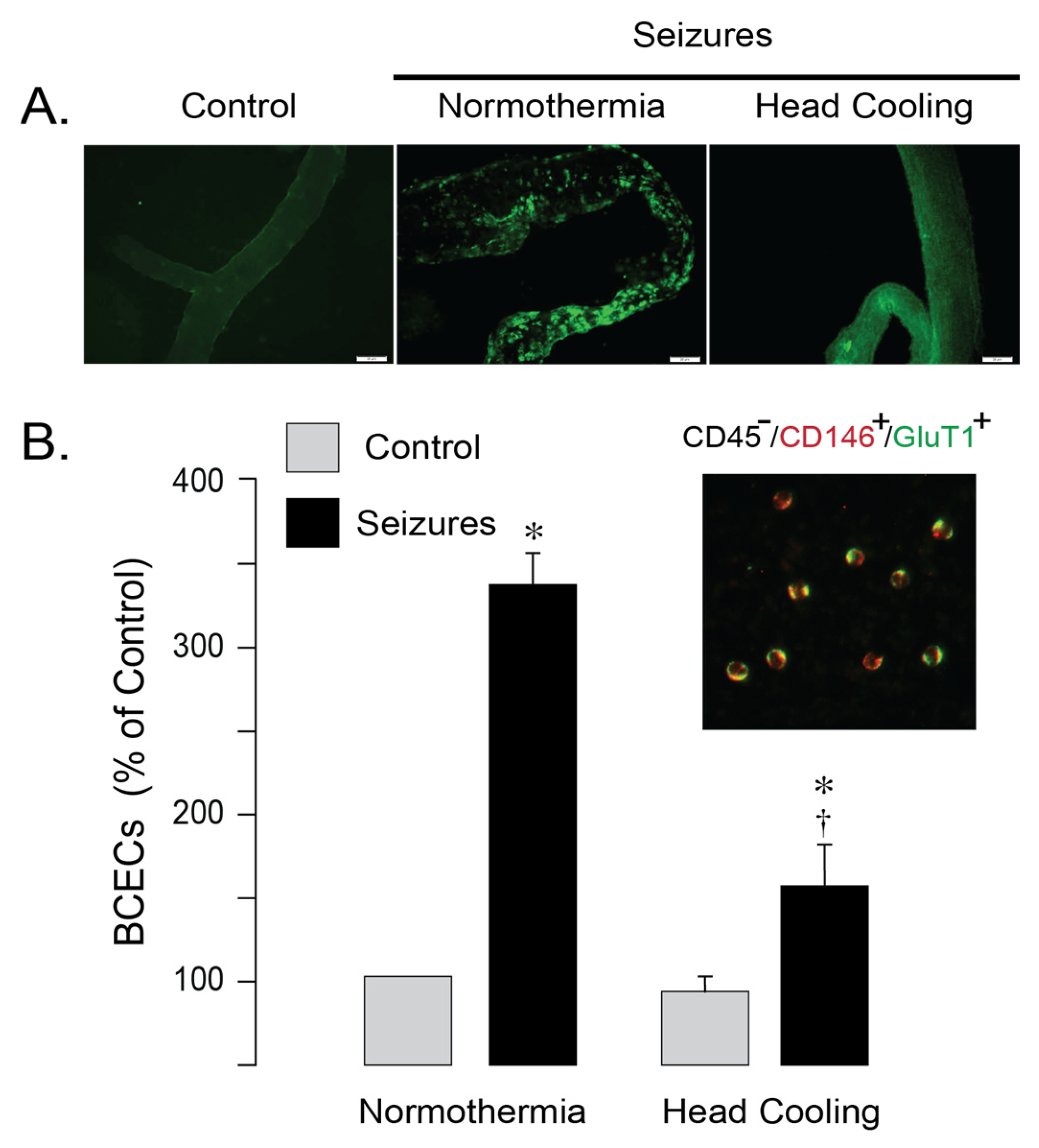 Antioxidants 14 01454 g003