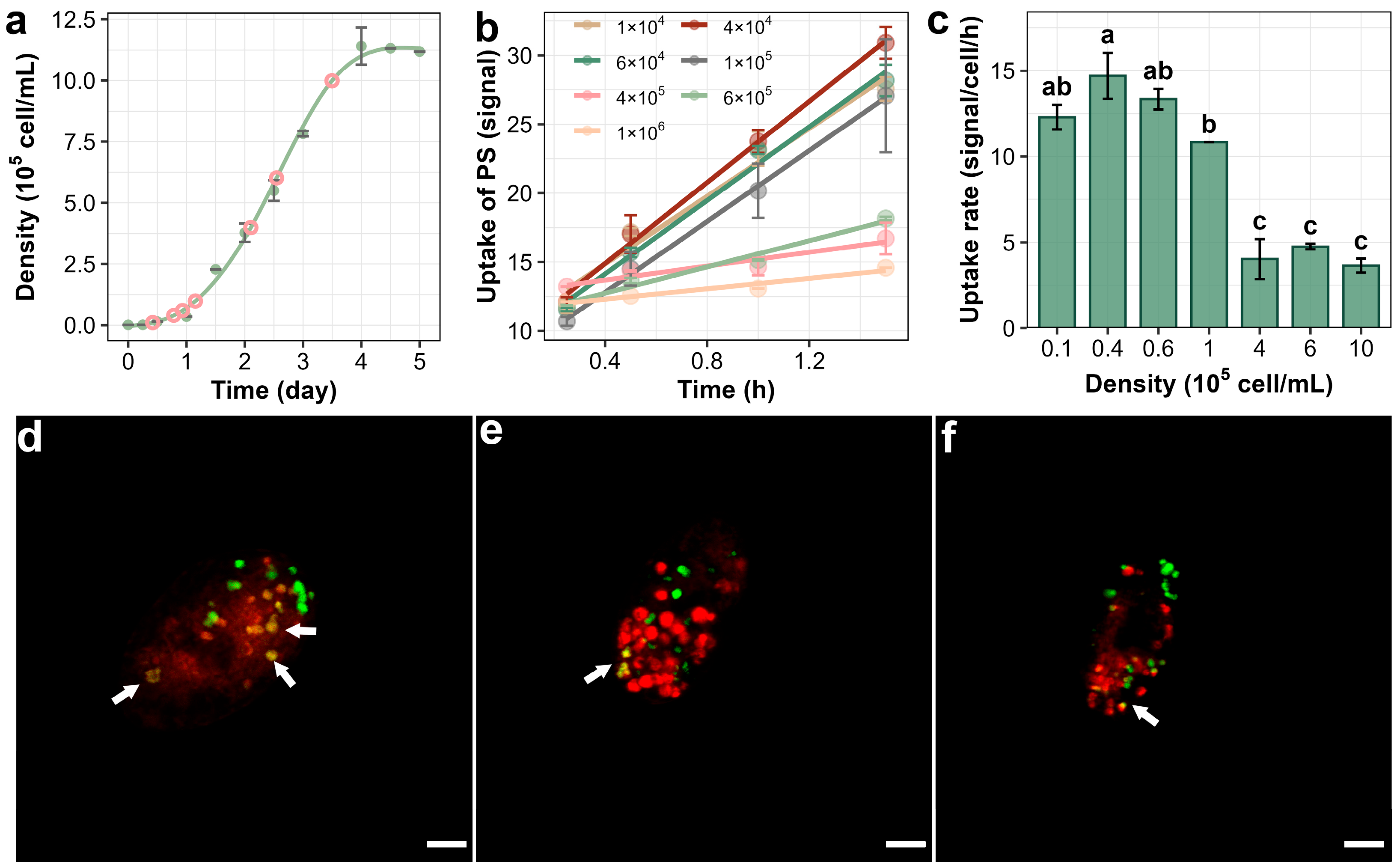 Antioxidants 14 01456 g002