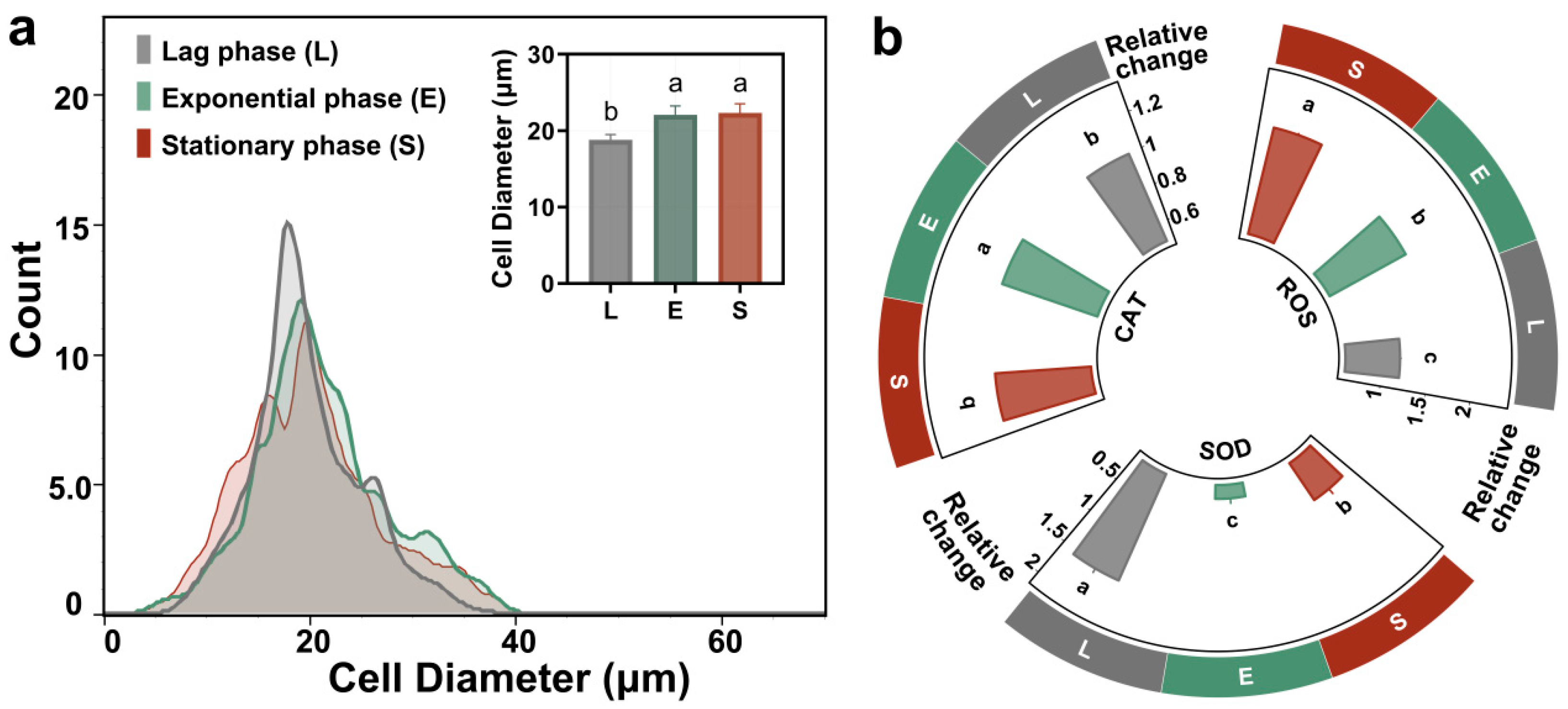 Antioxidants 14 01456 g003