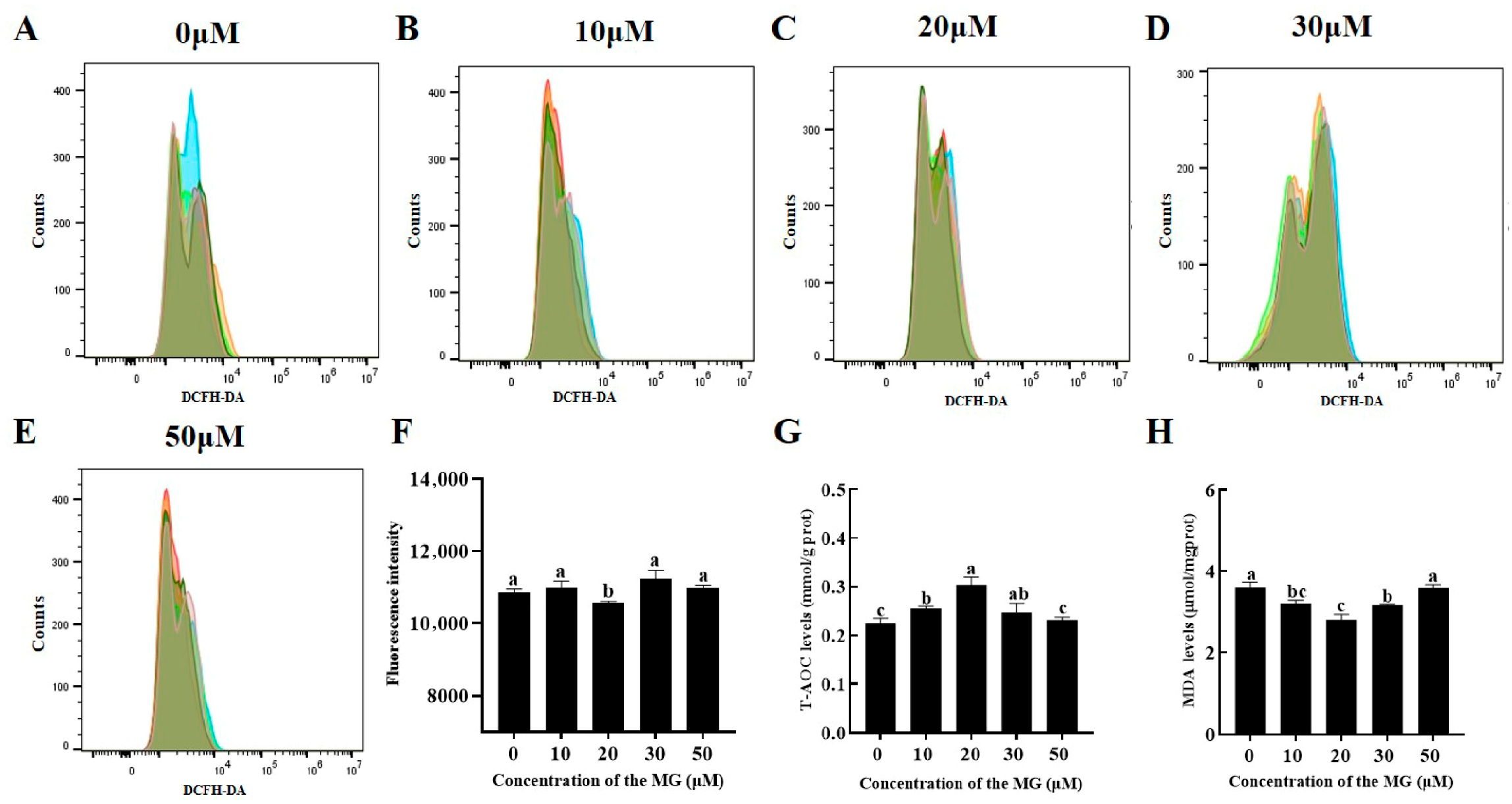 Antioxidants 14 01465 g003