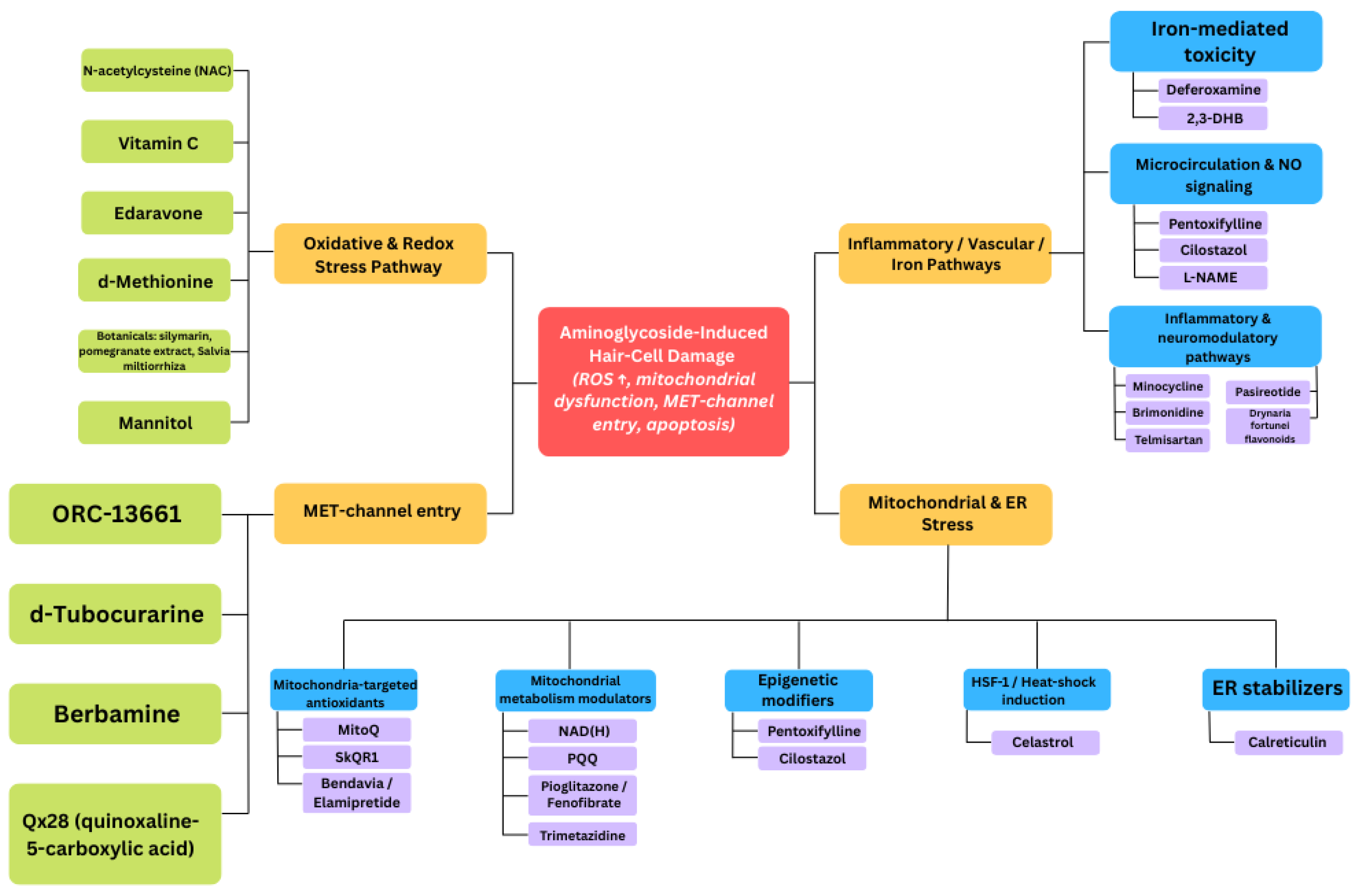 Antioxidants 14 01467 g002 Antioxidants 14 01467 g002