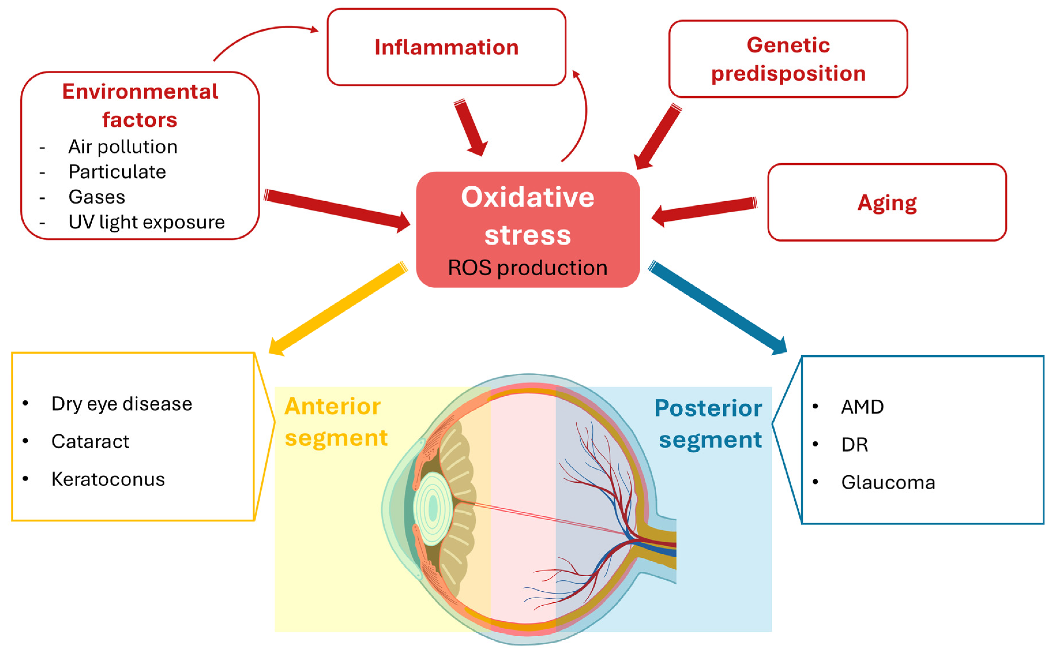 Antioxidants 14 01475 g001