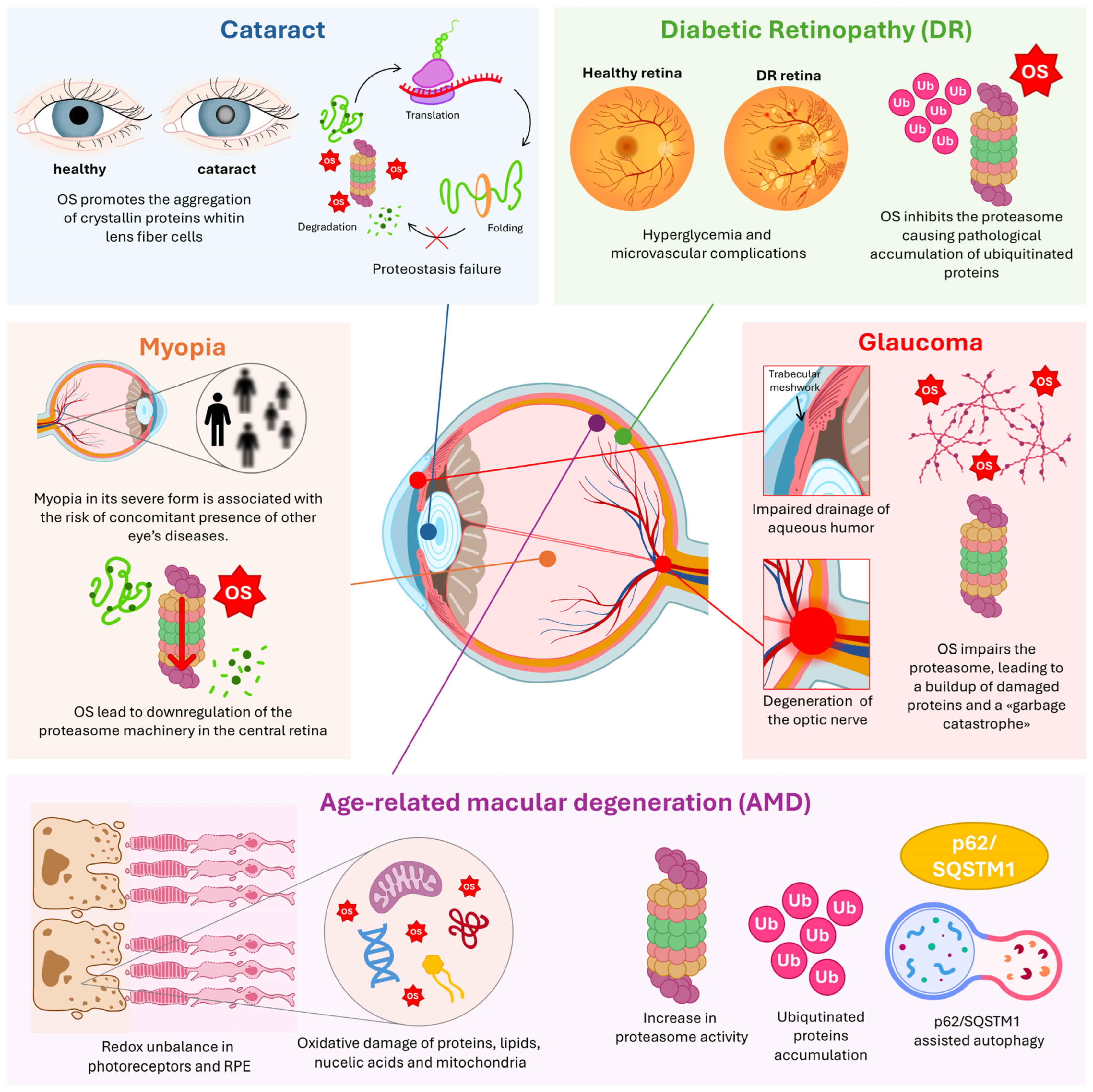 Antioxidants 14 01475 g003