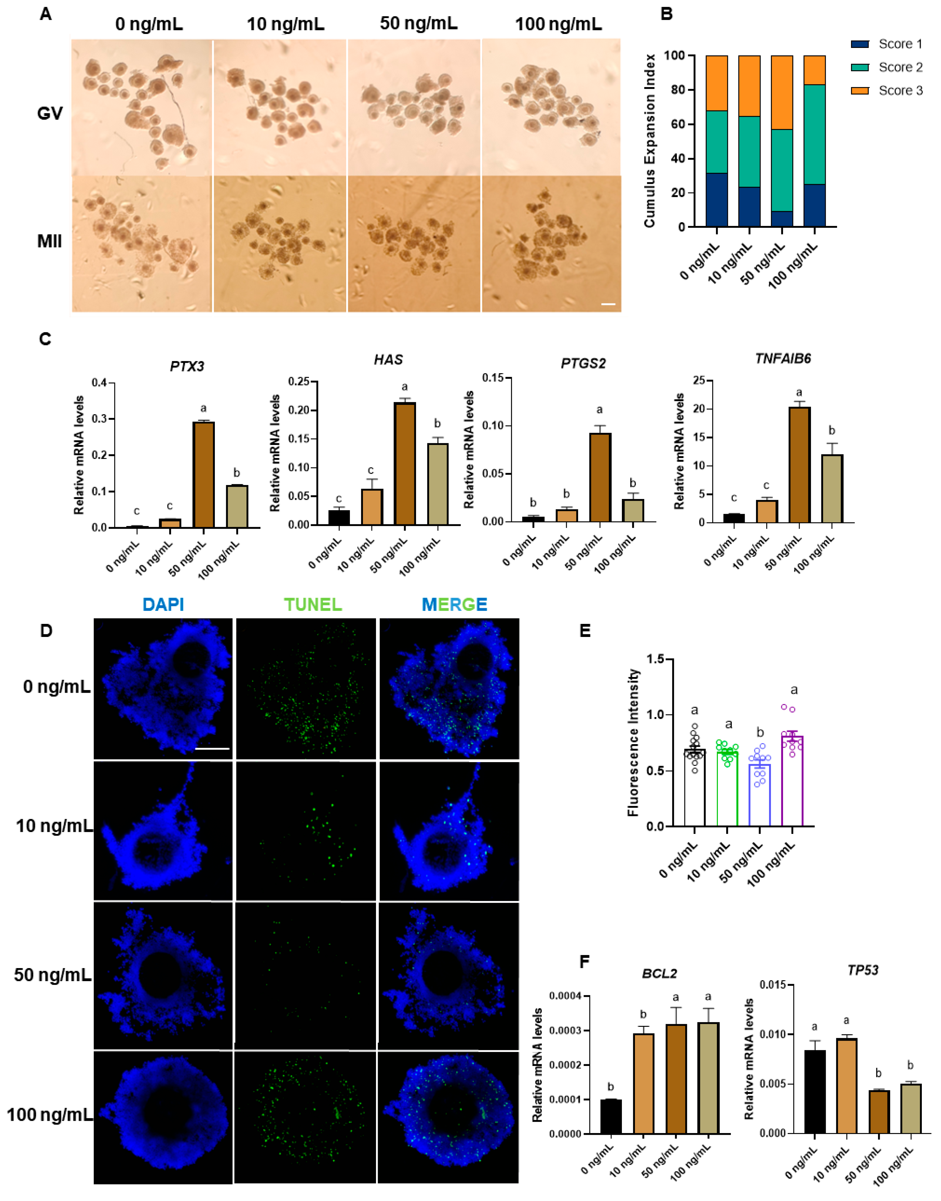 Antioxidants 14 01476 g003 Antioxidants 14 01476 g003