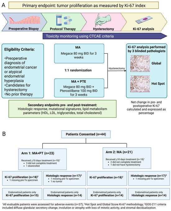 Antioxidants 14 01479 g001