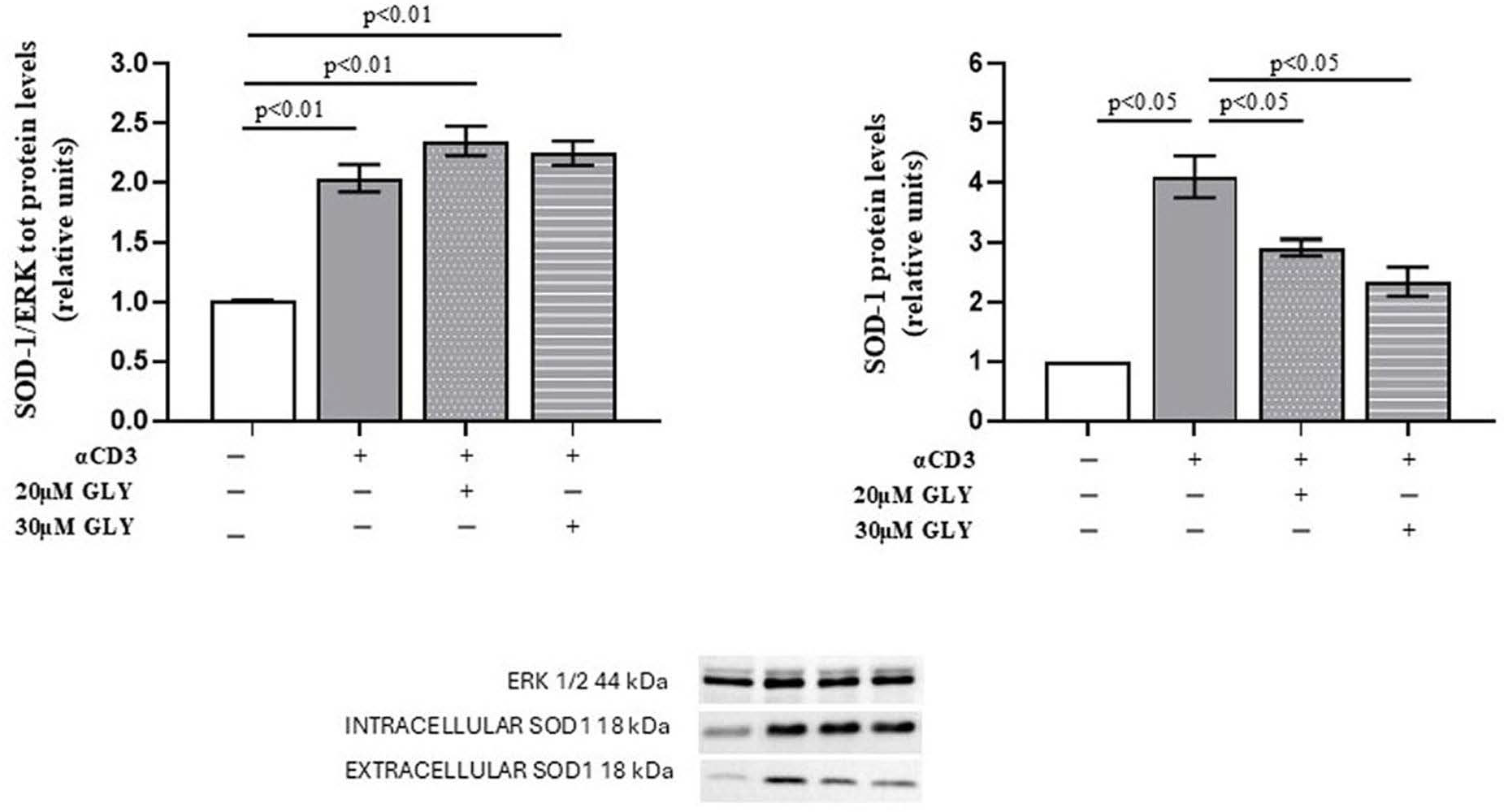 Antioxidants 14 01487 g001 Antioxidants 14 01487 g001