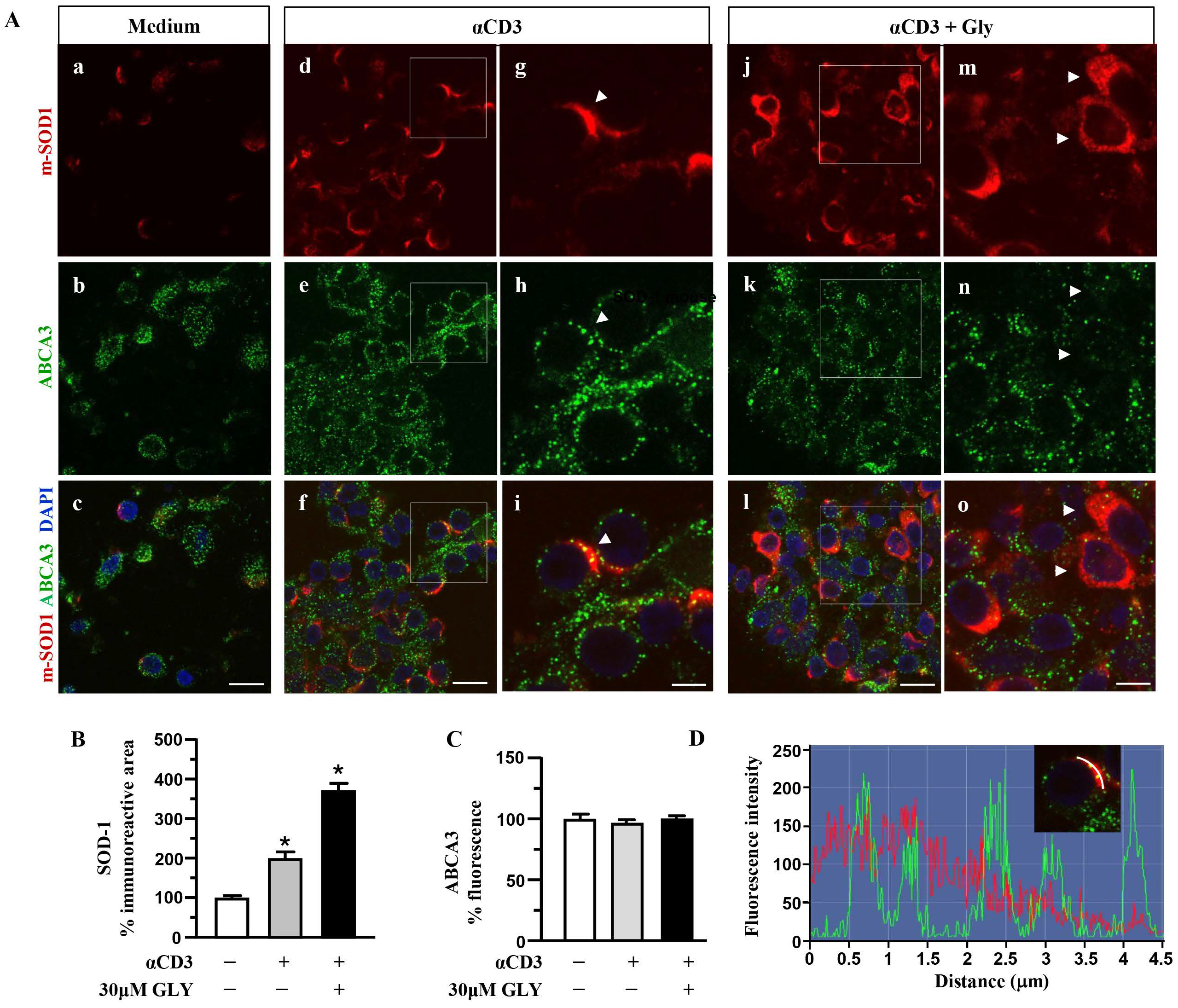 Antioxidants 14 01487 g005 Antioxidants 14 01487 g005