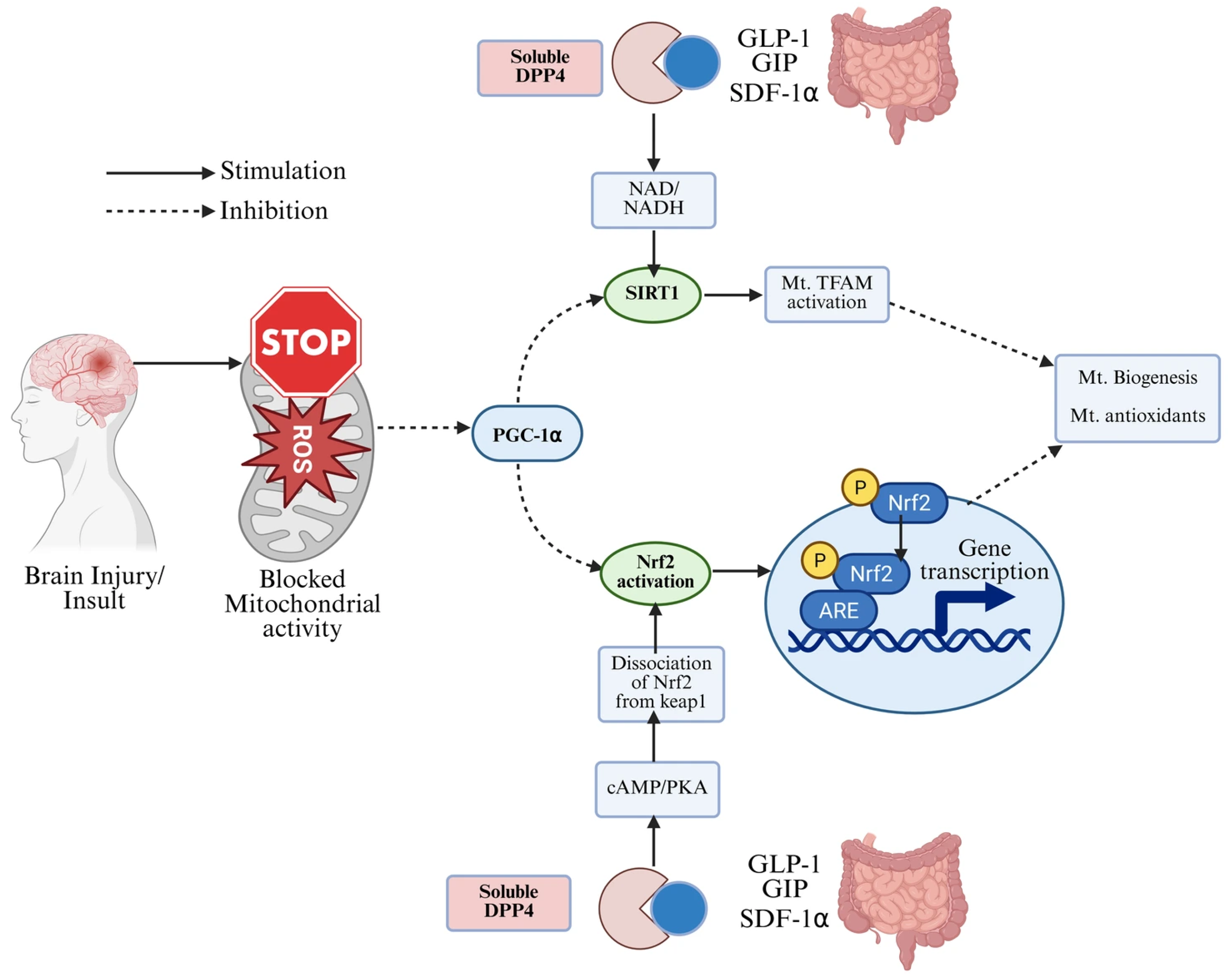 Antioxidants 14 01490 g003