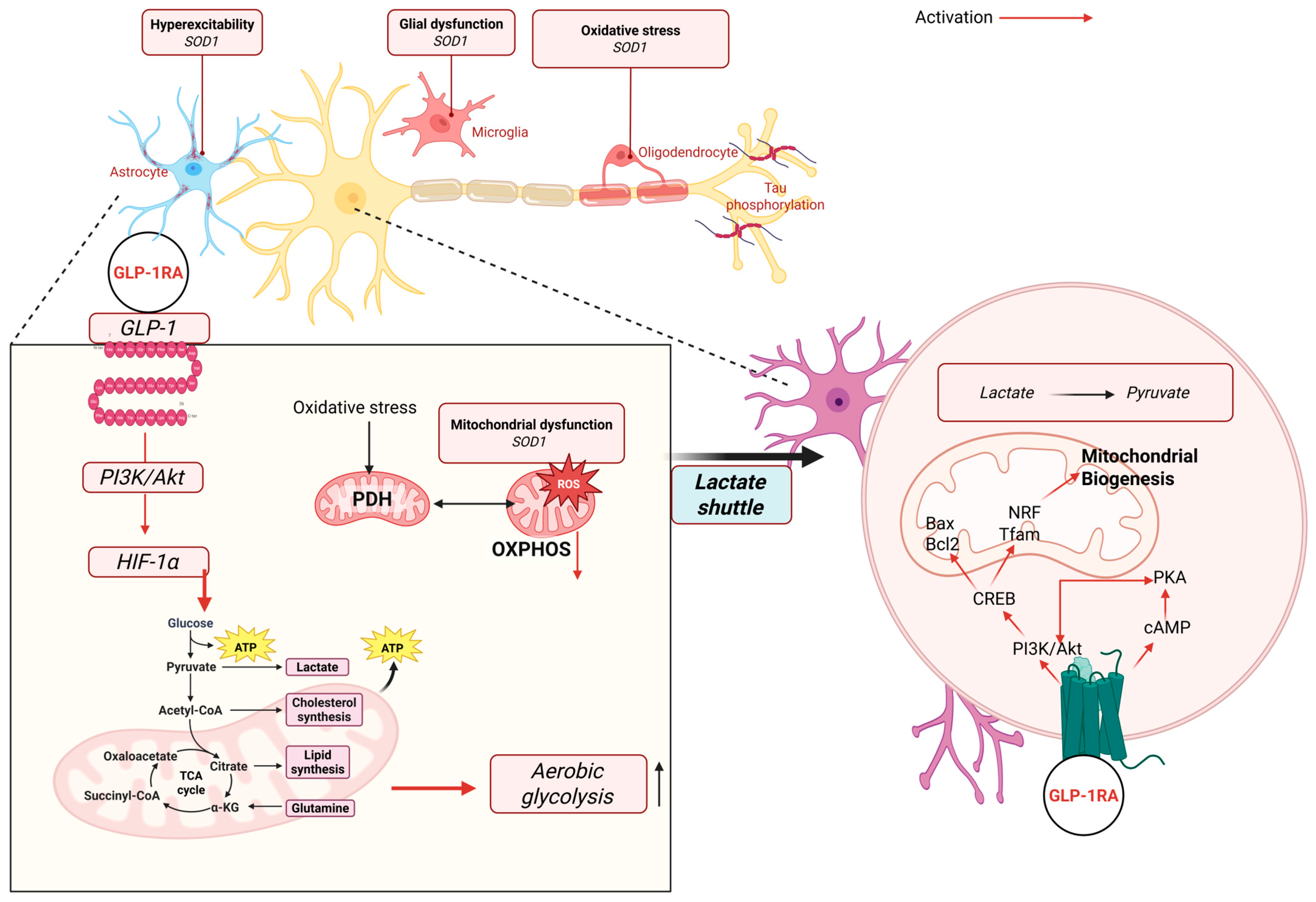 Antioxidants 14 01490 g004