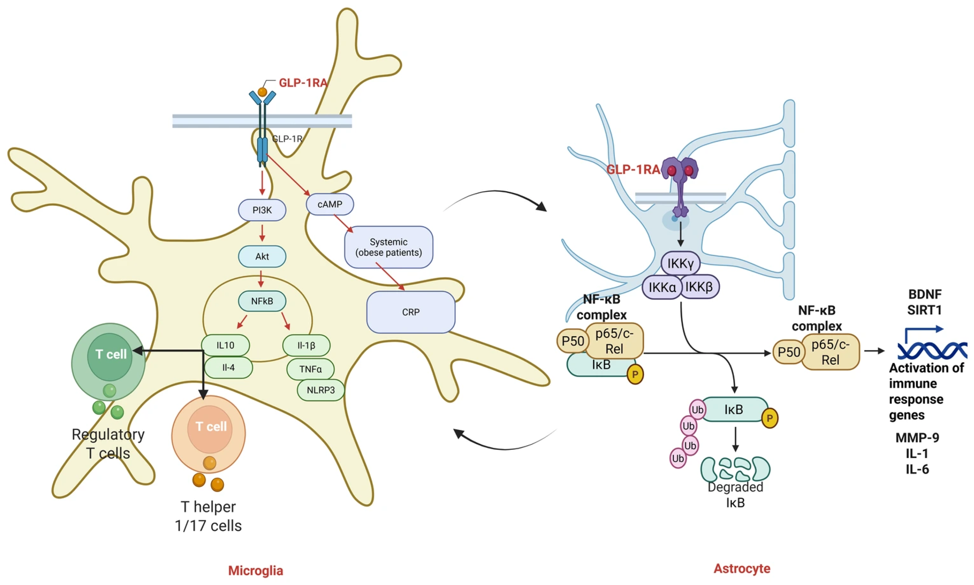 Antioxidants 14 01490 g005