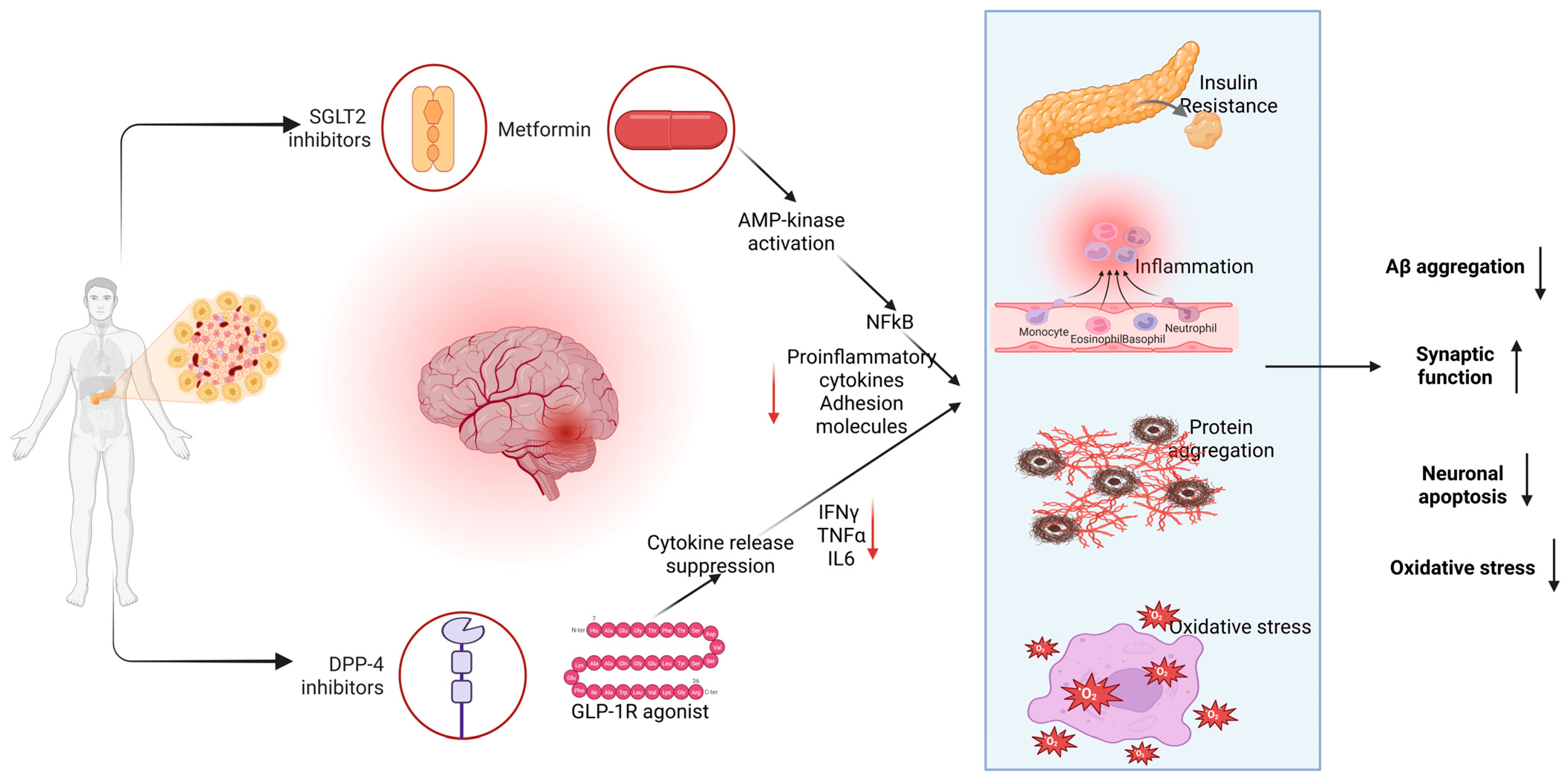 Antioxidants 14 01490 g006