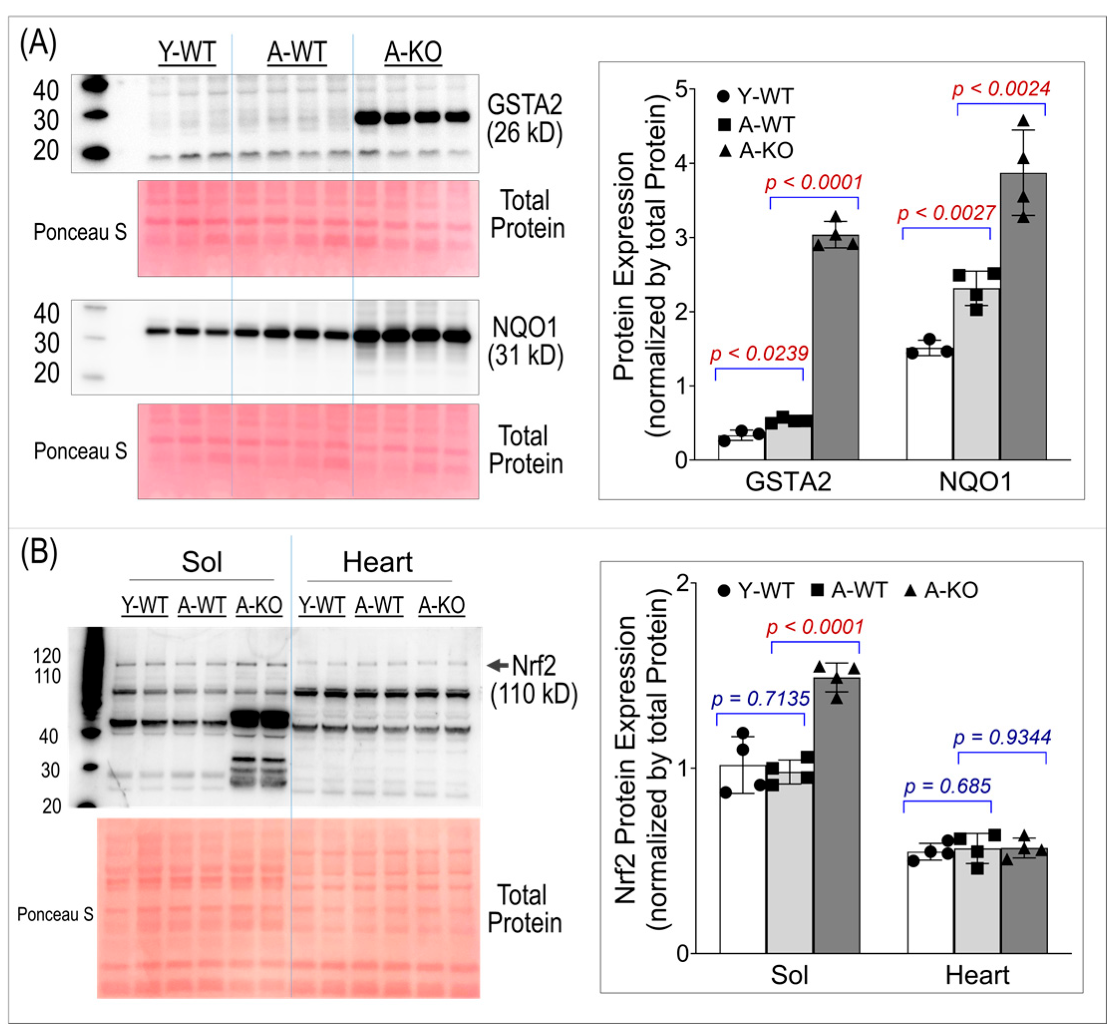 Antioxidants 14 01491 g002 Antioxidants 14 01491 g002