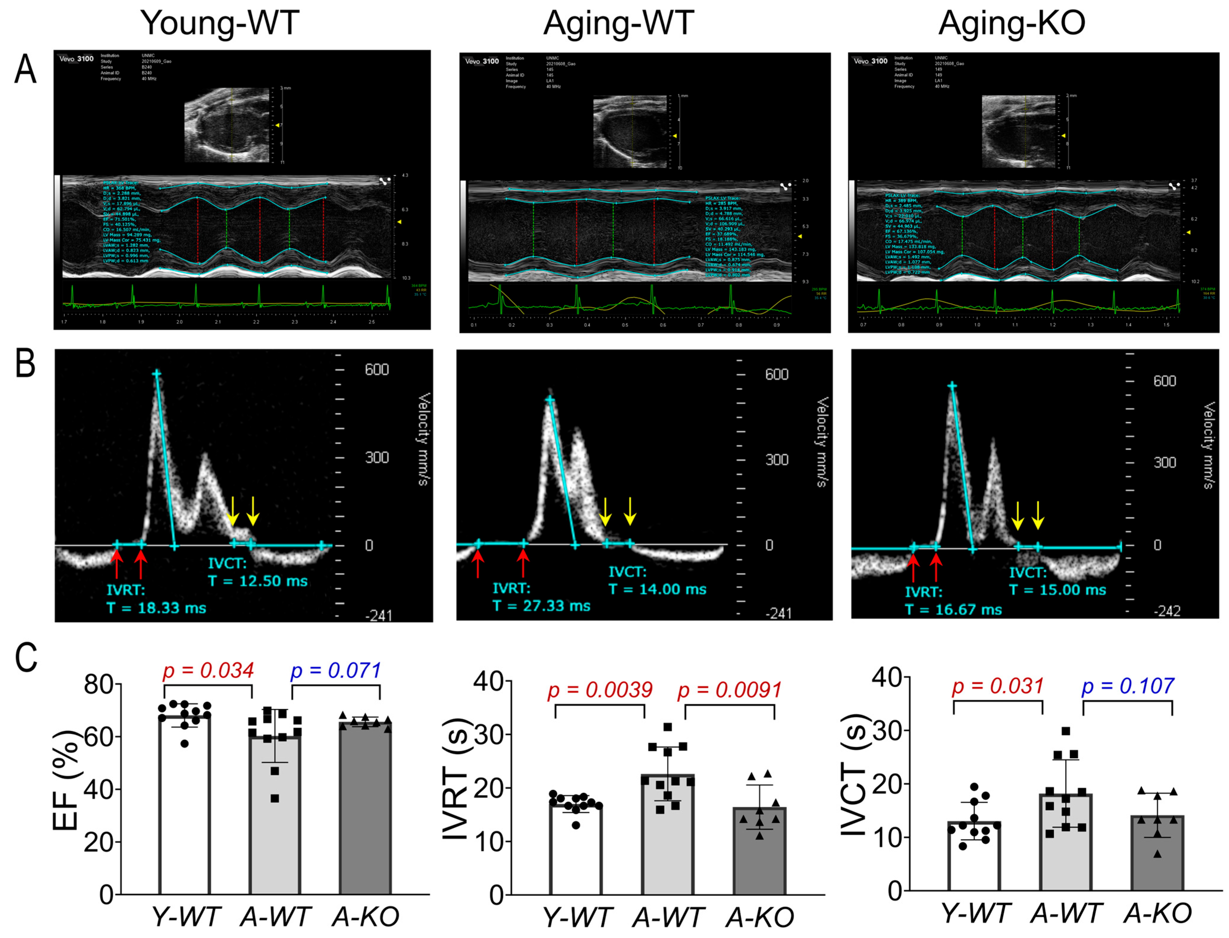 Antioxidants 14 01491 g003 Antioxidants 14 01491 g003