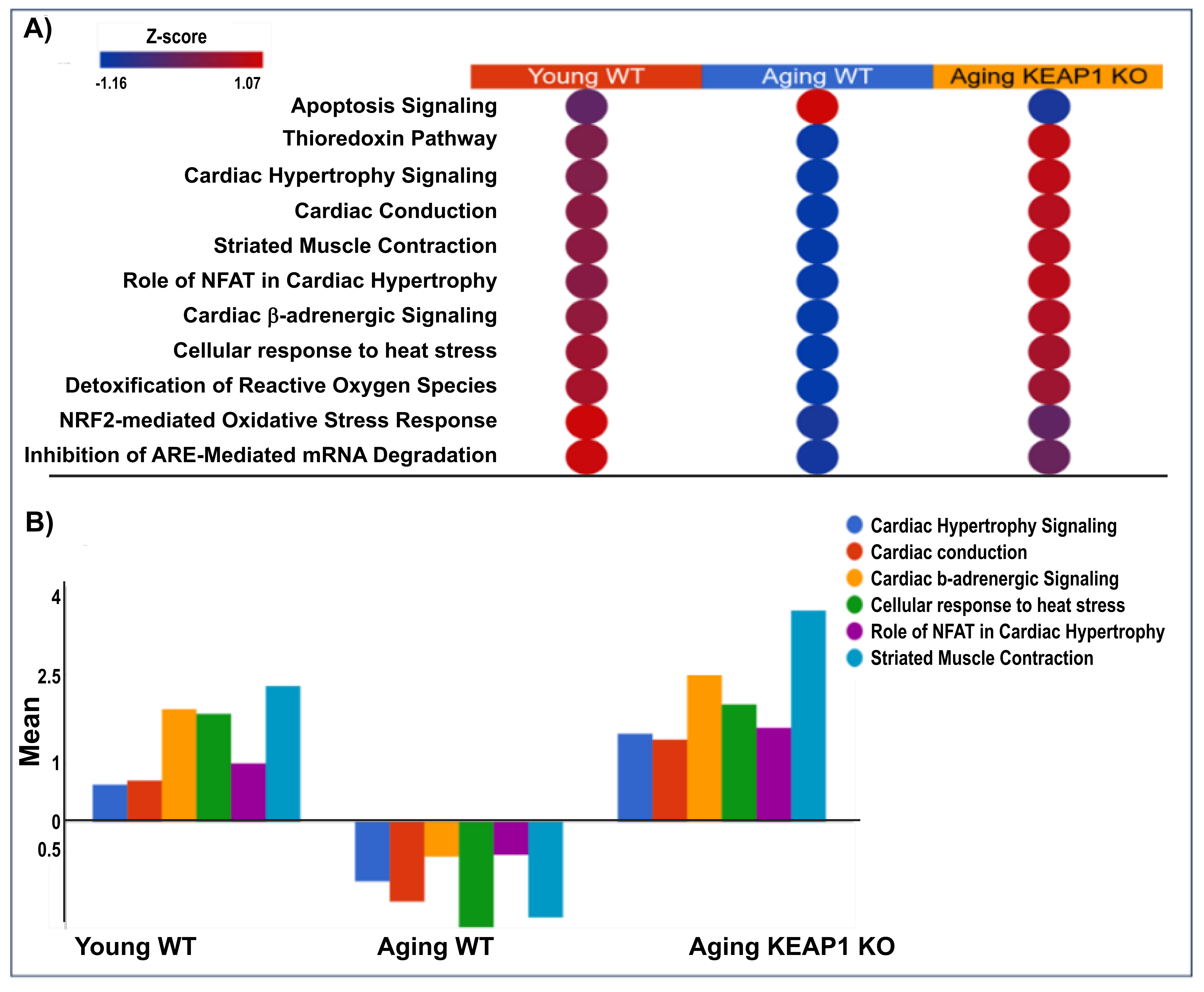 Antioxidants 14 01491 g007 Antioxidants 14 01491 g007