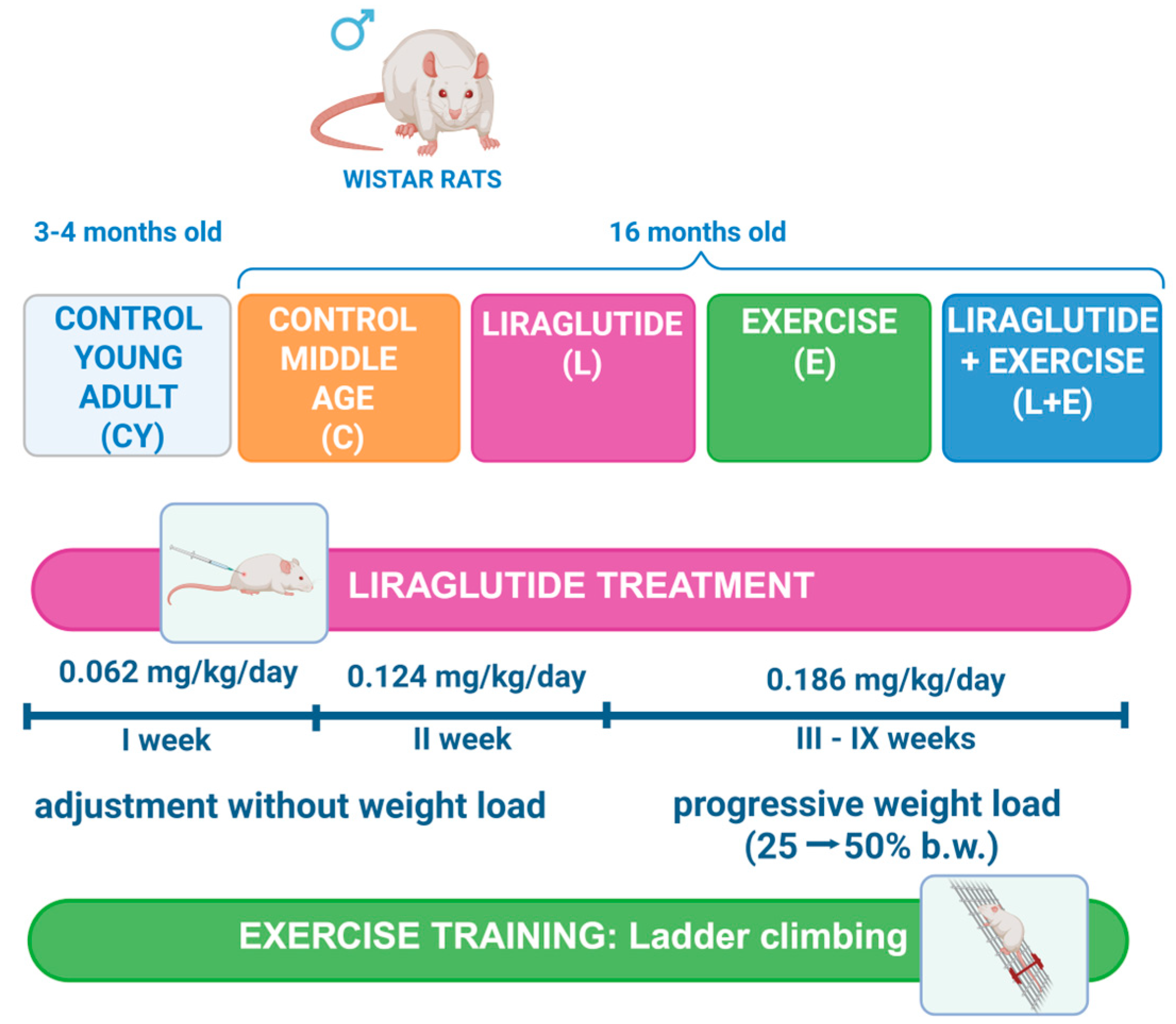 Antioxidants 14 01492 g001