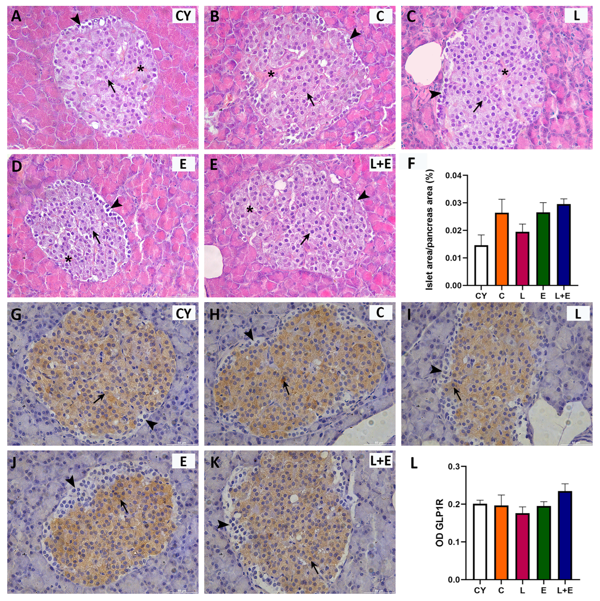Antioxidants 14 01492 g003