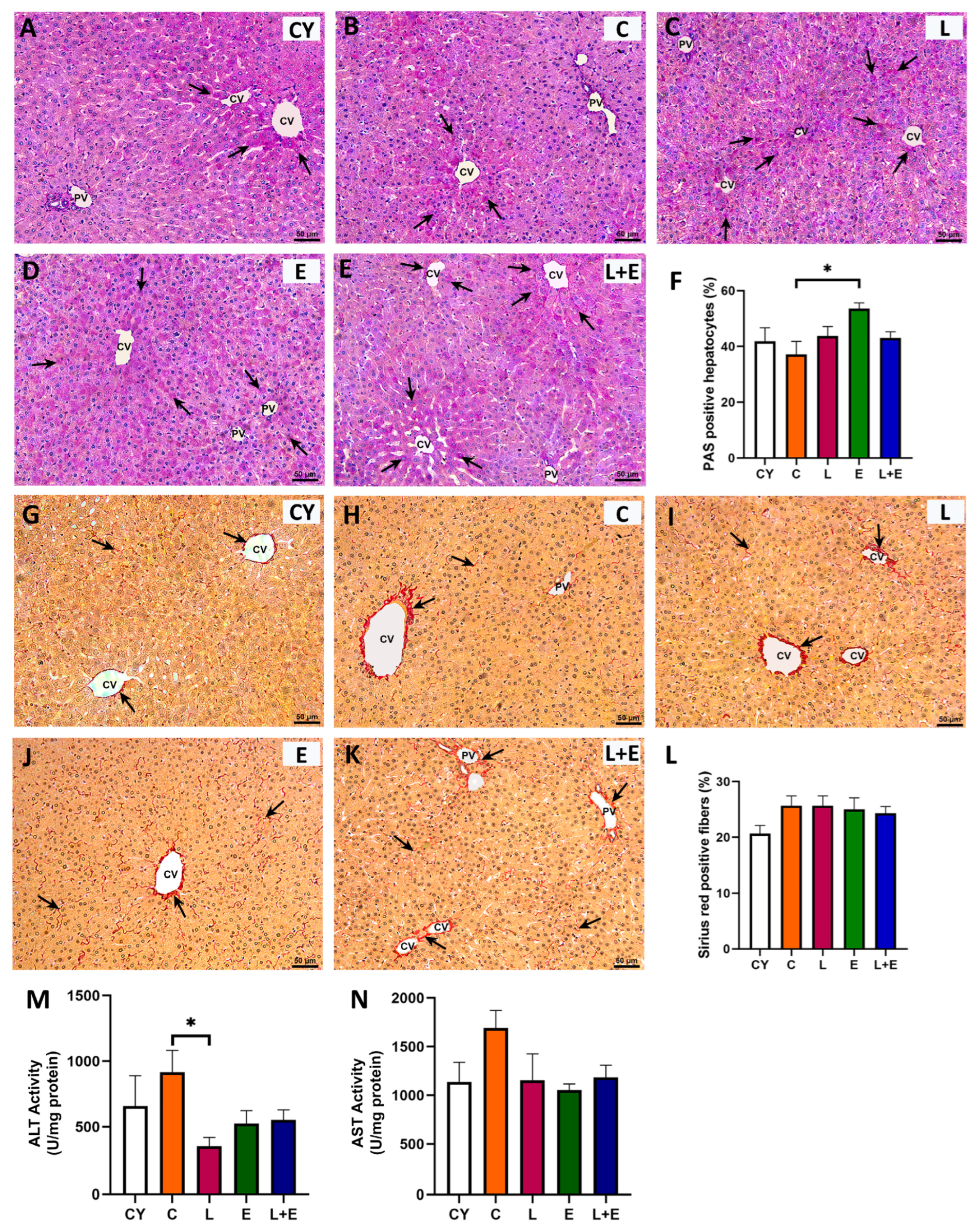 Antioxidants 14 01492 g004