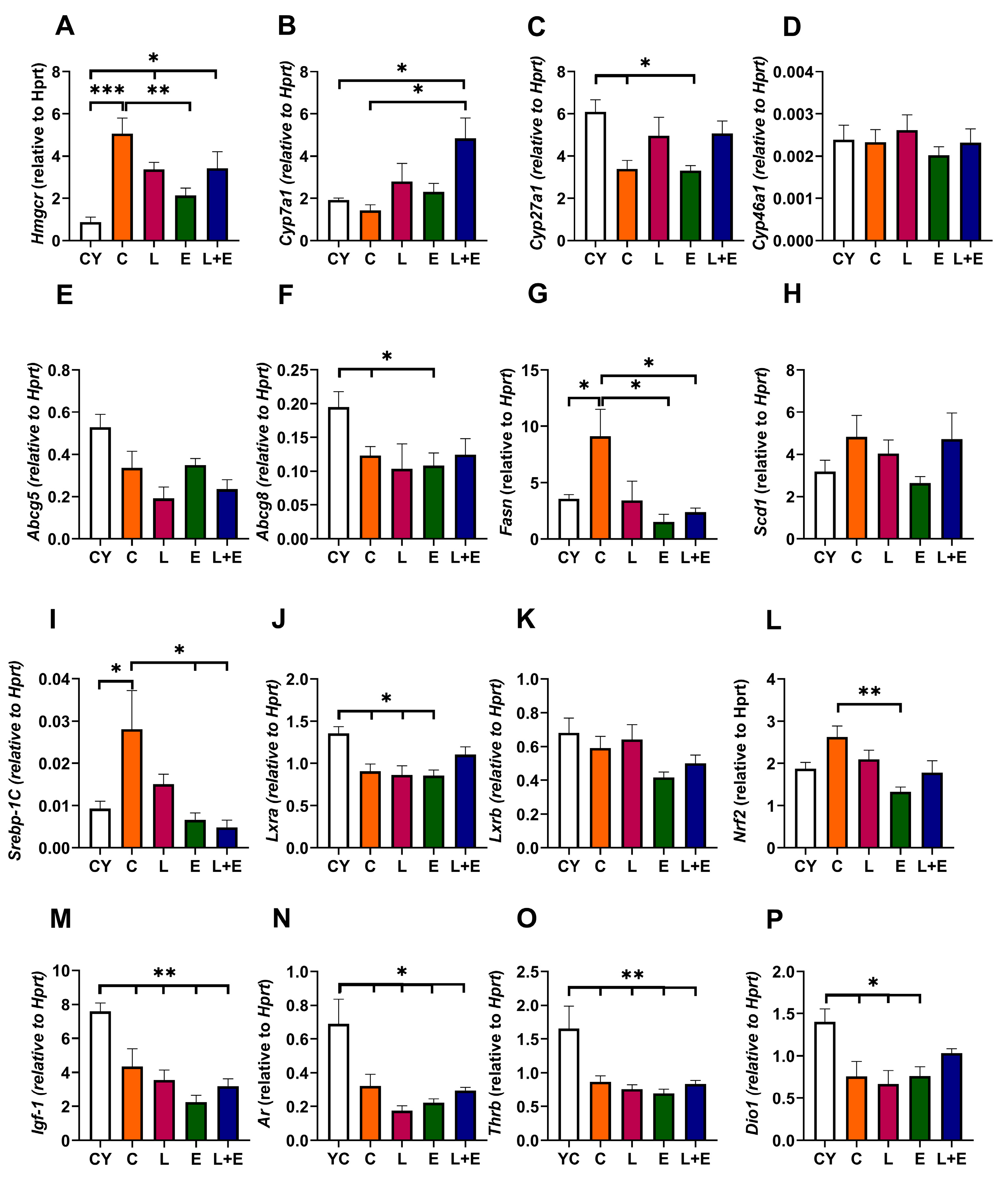 Antioxidants 14 01492 g005