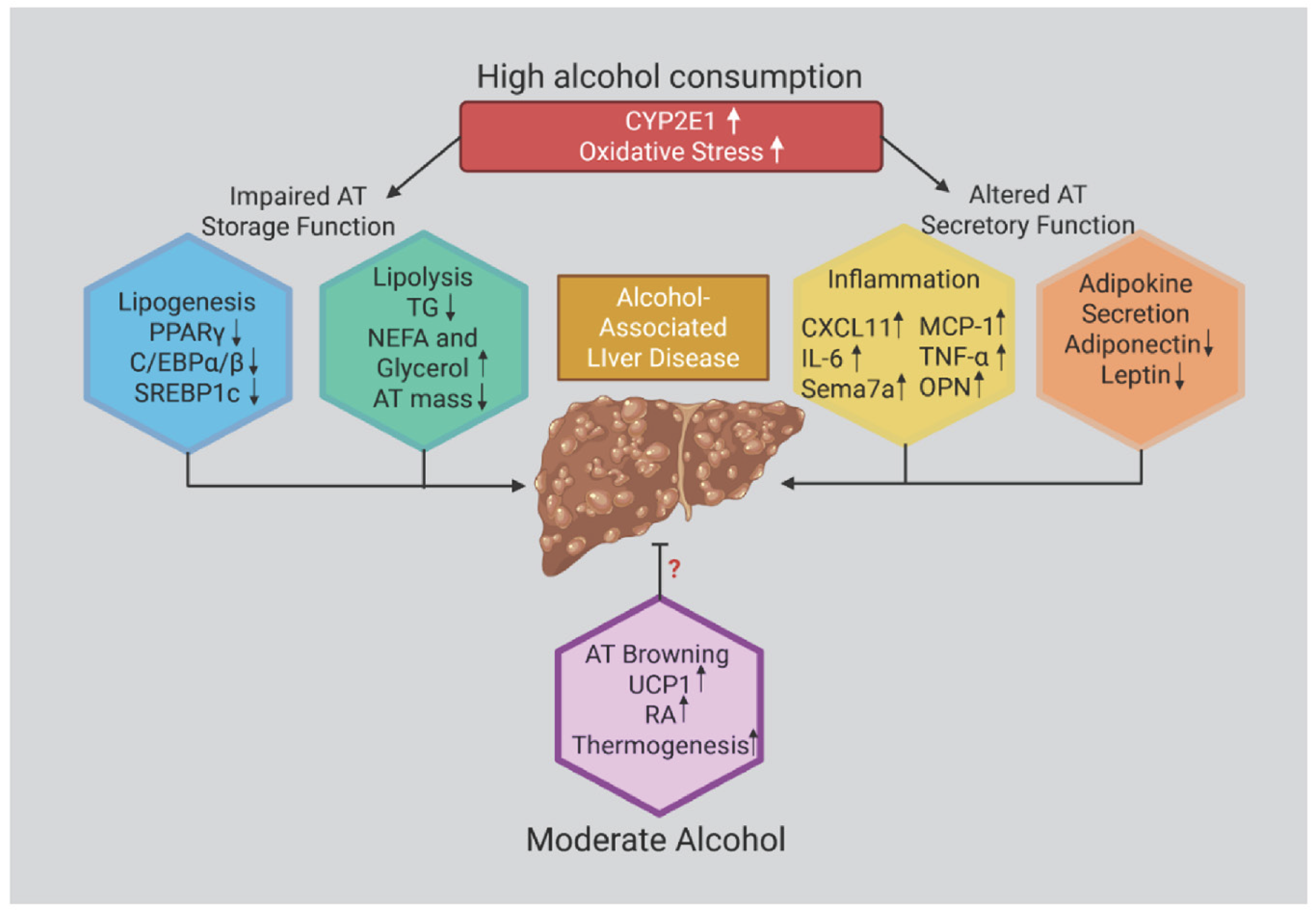 Antioxidants 14 01494 g003
