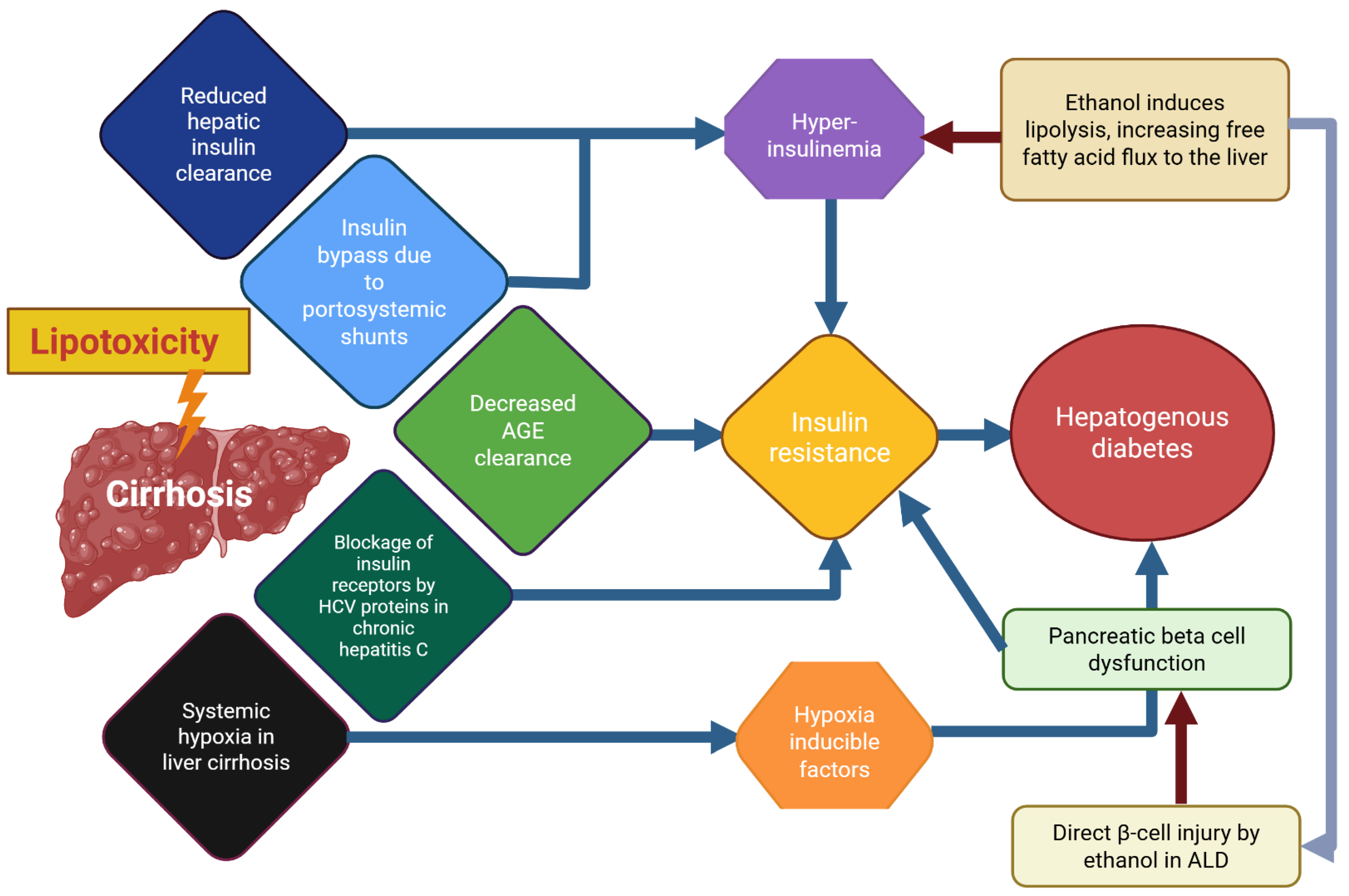 Antioxidants 14 01494 g004