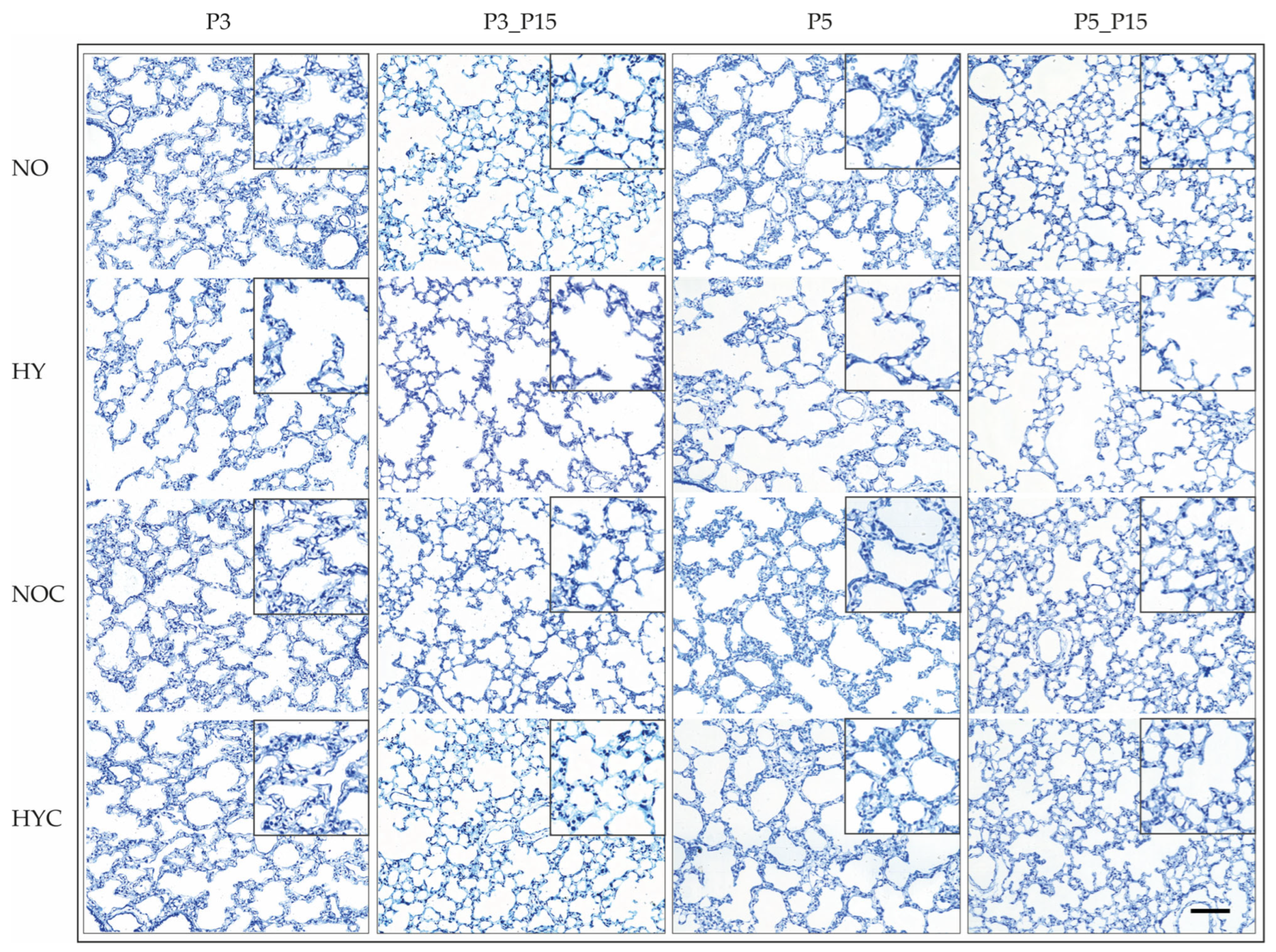 Antioxidants 14 01497 g003