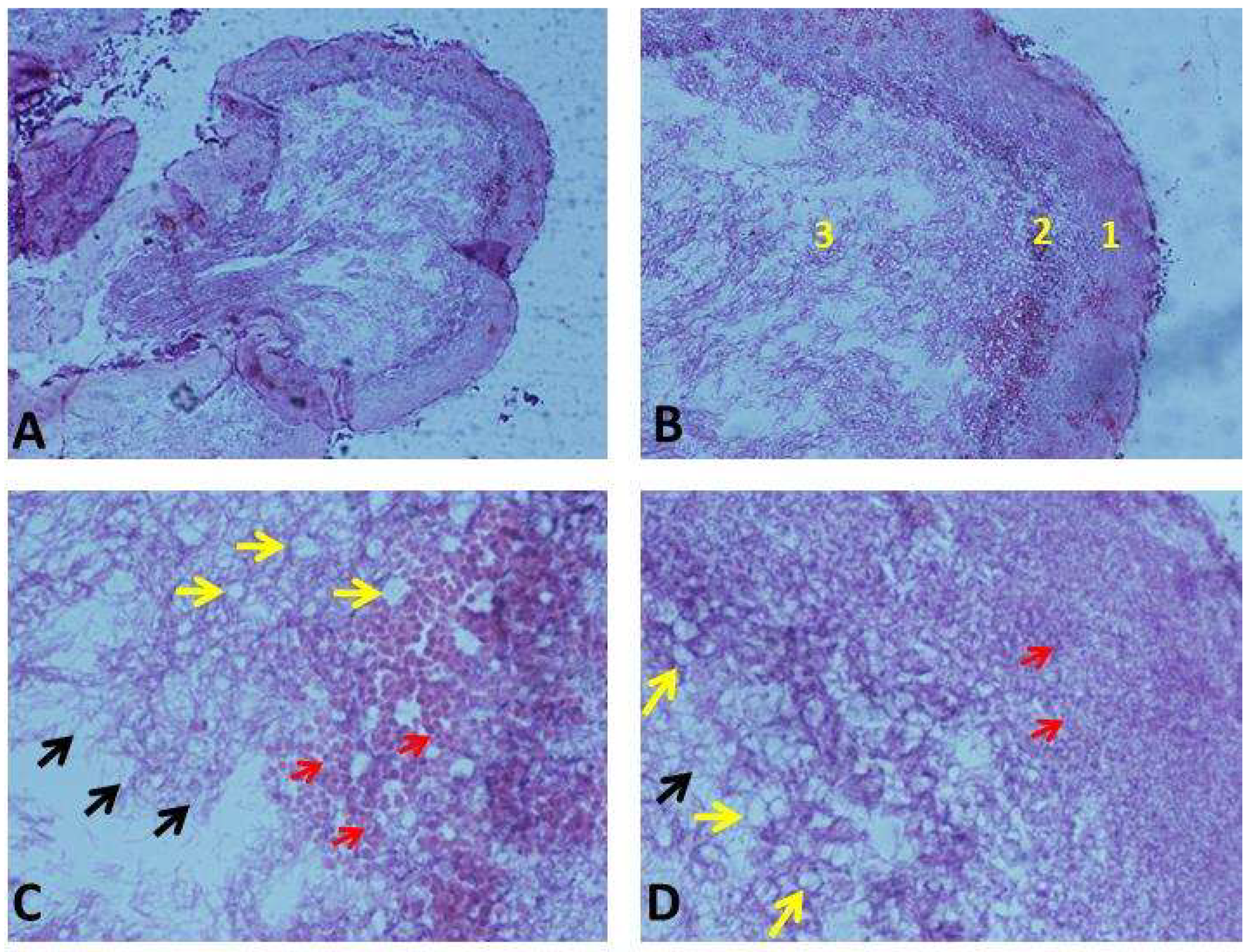 Antioxidants 14 01500 g004