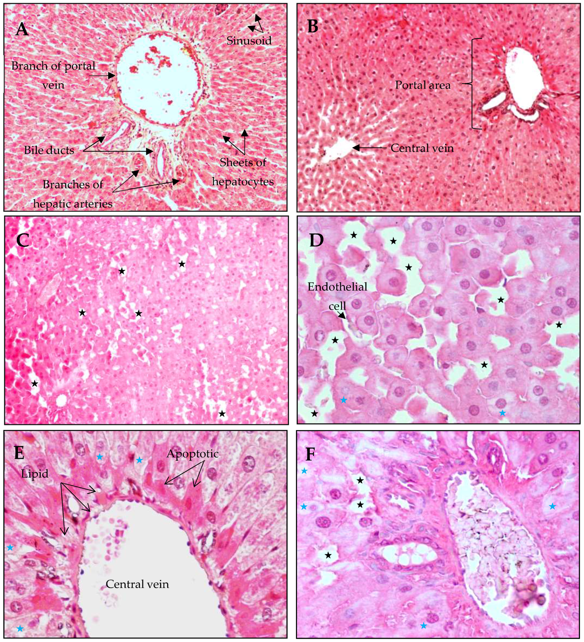 Antioxidants 14 01500 g005
